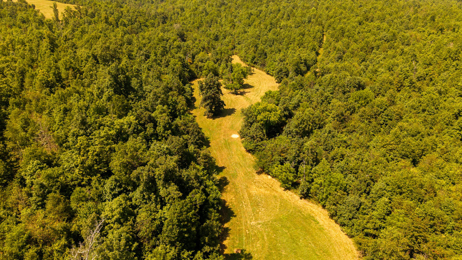 Photo 64 - Land for sale – Tbd  County Road 443   Birch Tree, MO