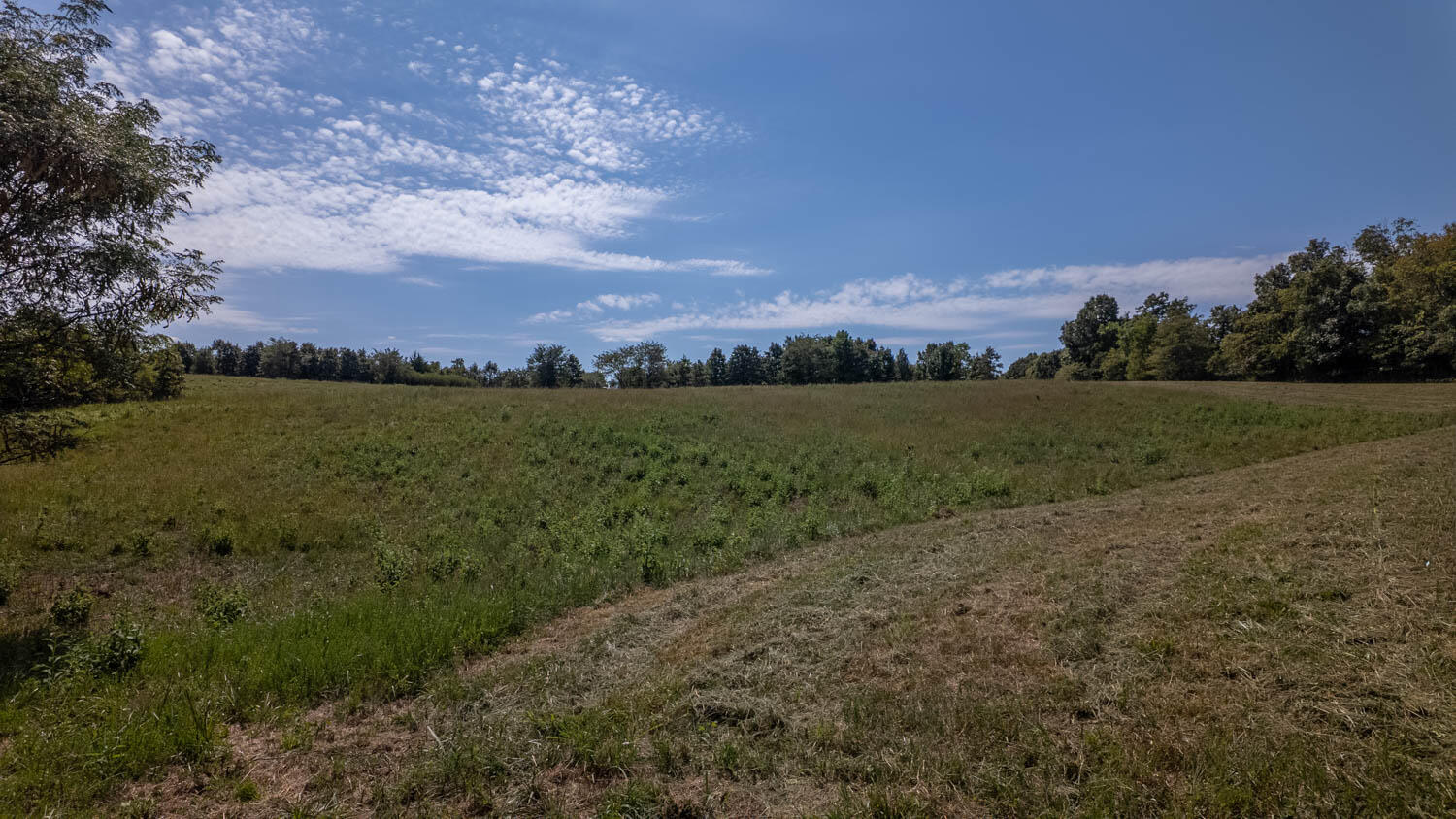 Photo 27 - Land for sale – Tbd  County Road 443   Birch Tree, MO