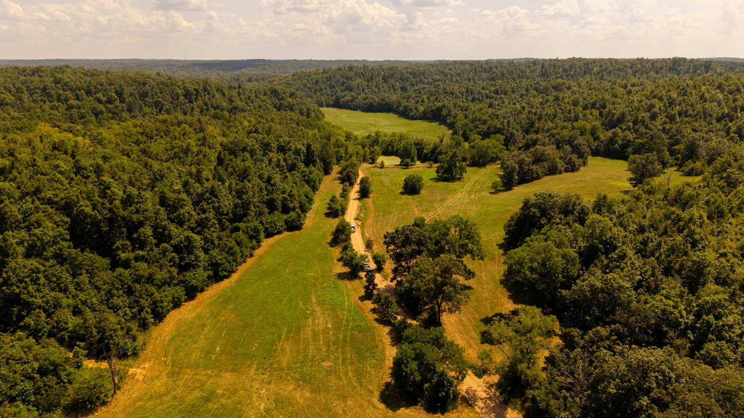 Photo 62 - Land for sale – Tbd  County Road 443   Birch Tree, MO