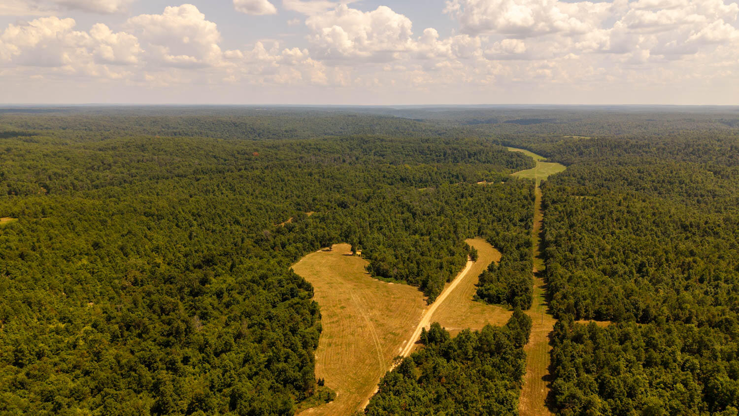 Land for sale – Tbd  County Road 443   Birch Tree, MO