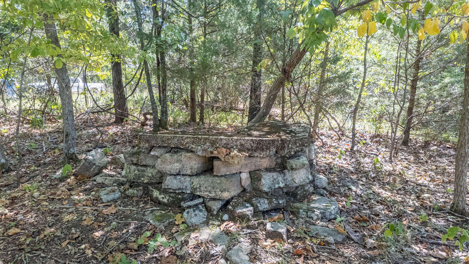 Photo 46 - Land for sale – Tbd  County Road 443   Birch Tree, MO