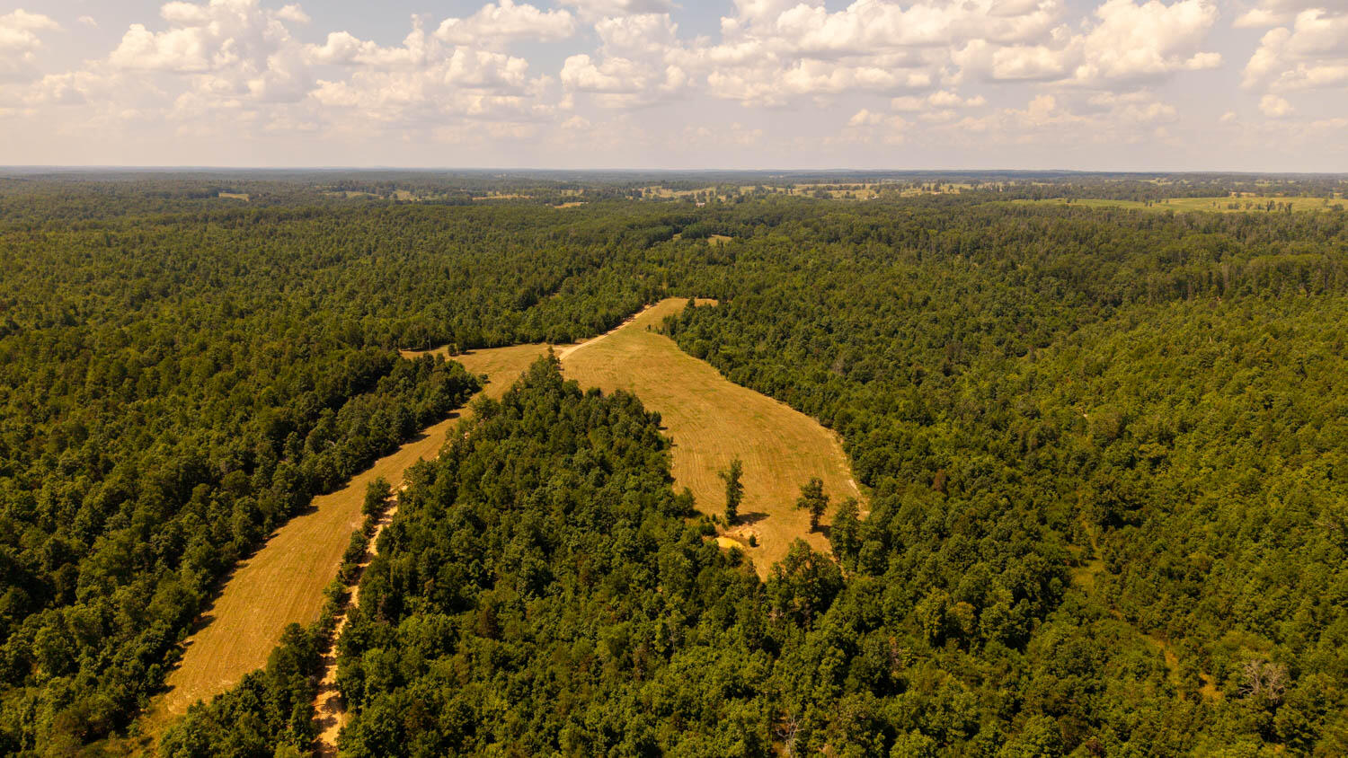 Photo 59 - Land for sale – Tbd  County Road 443   Birch Tree, MO