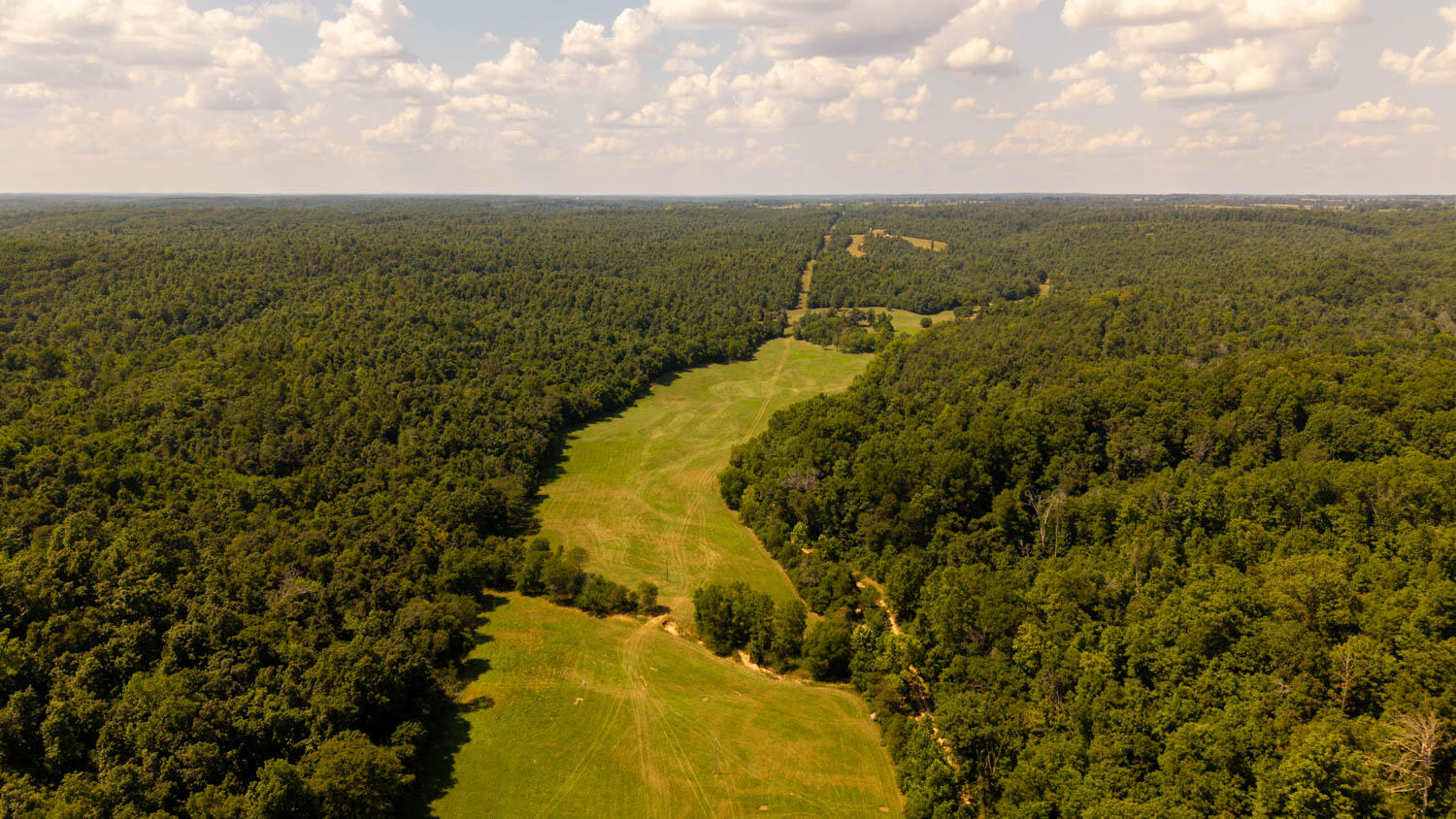 Photo 72 - Land for sale – Tbd  County Road 443   Birch Tree, MO