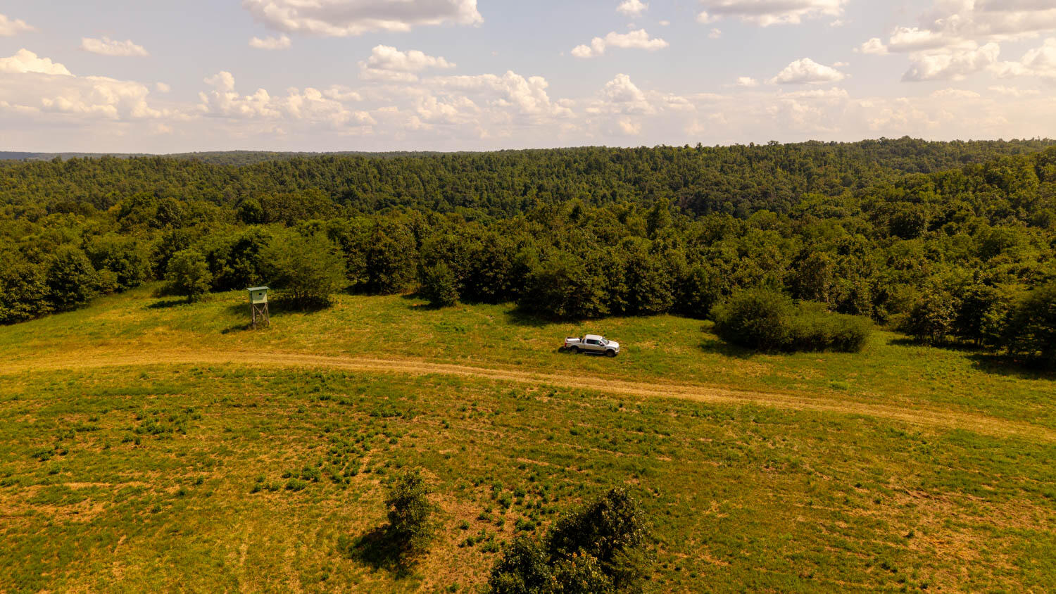 Photo 78 - Land for sale – Tbd  County Road 443   Birch Tree, MO