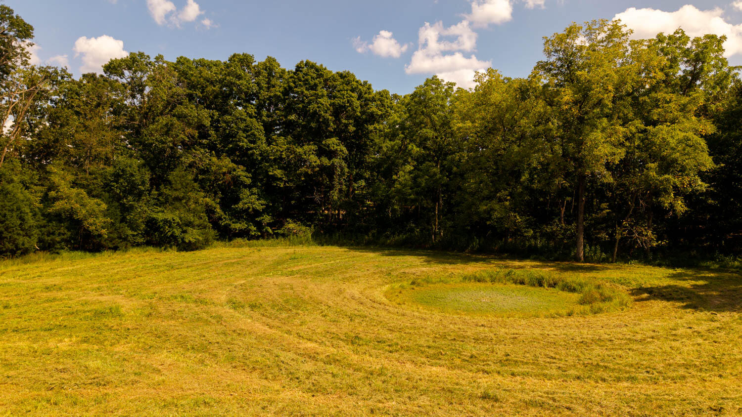 Photo 110 - Land for sale – Tbd  County Road 443   Birch Tree, MO