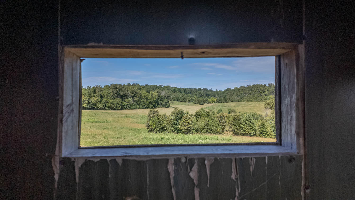 Photo 21 - Land for sale – Tbd  County Road 443   Birch Tree, MO