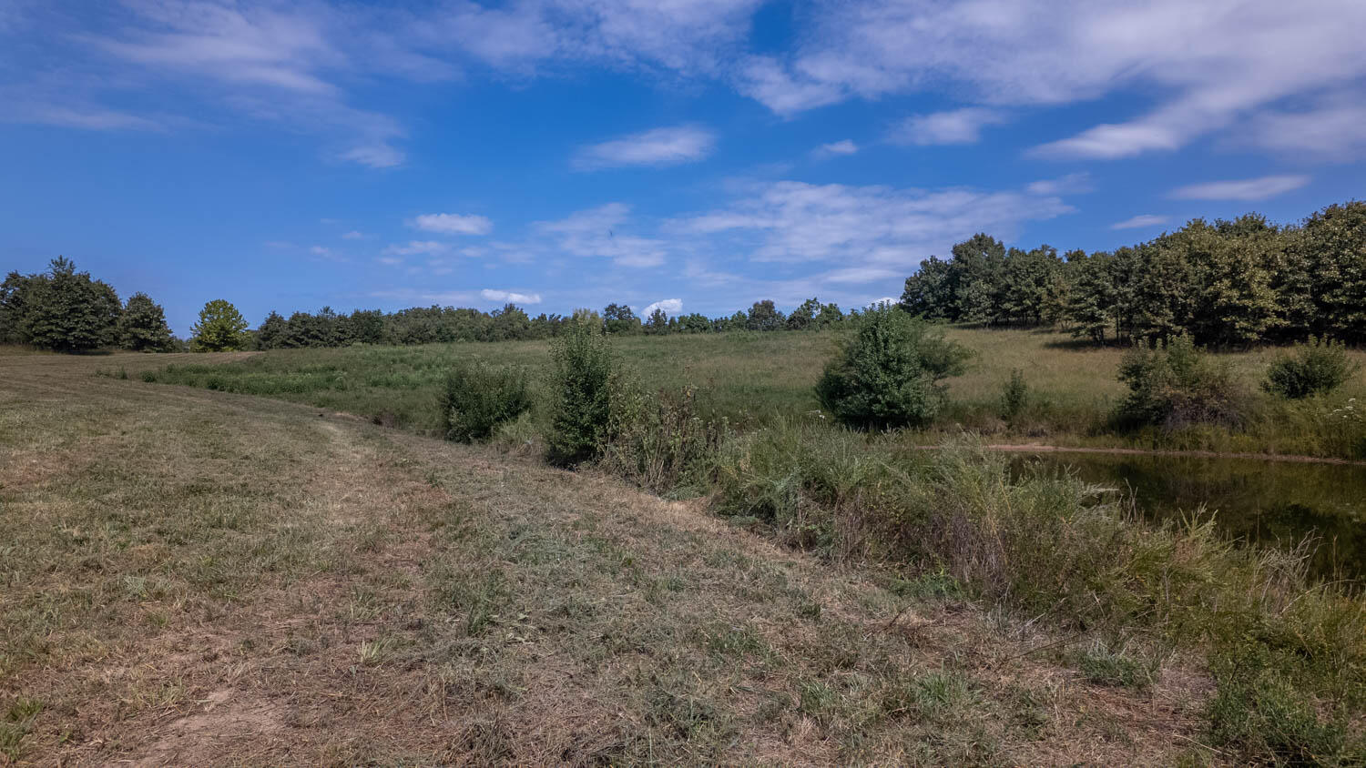 Photo 26 - Land for sale – Tbd  County Road 443   Birch Tree, MO