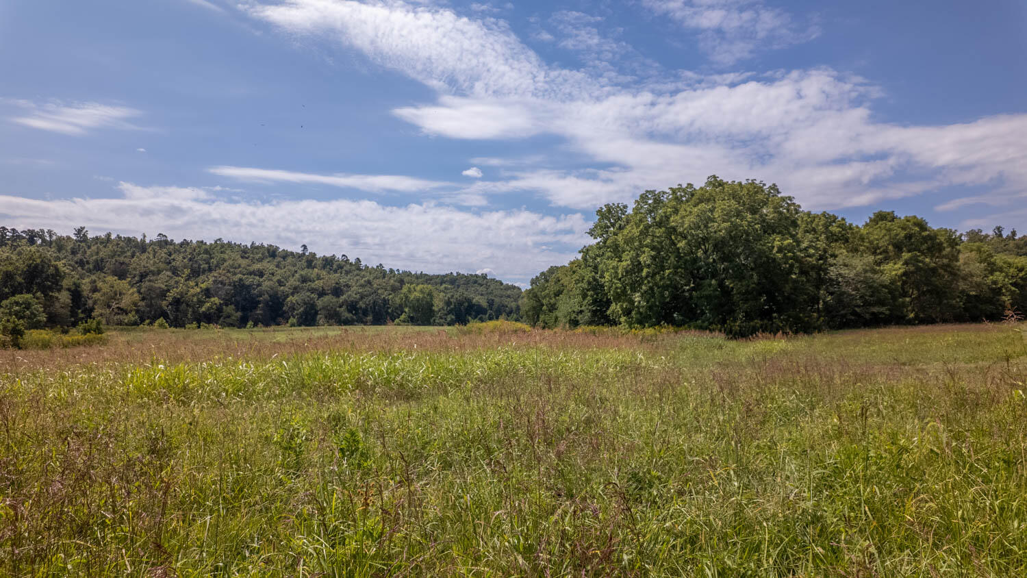 Photo 29 - Land for sale – Tbd  County Road 443   Birch Tree, MO