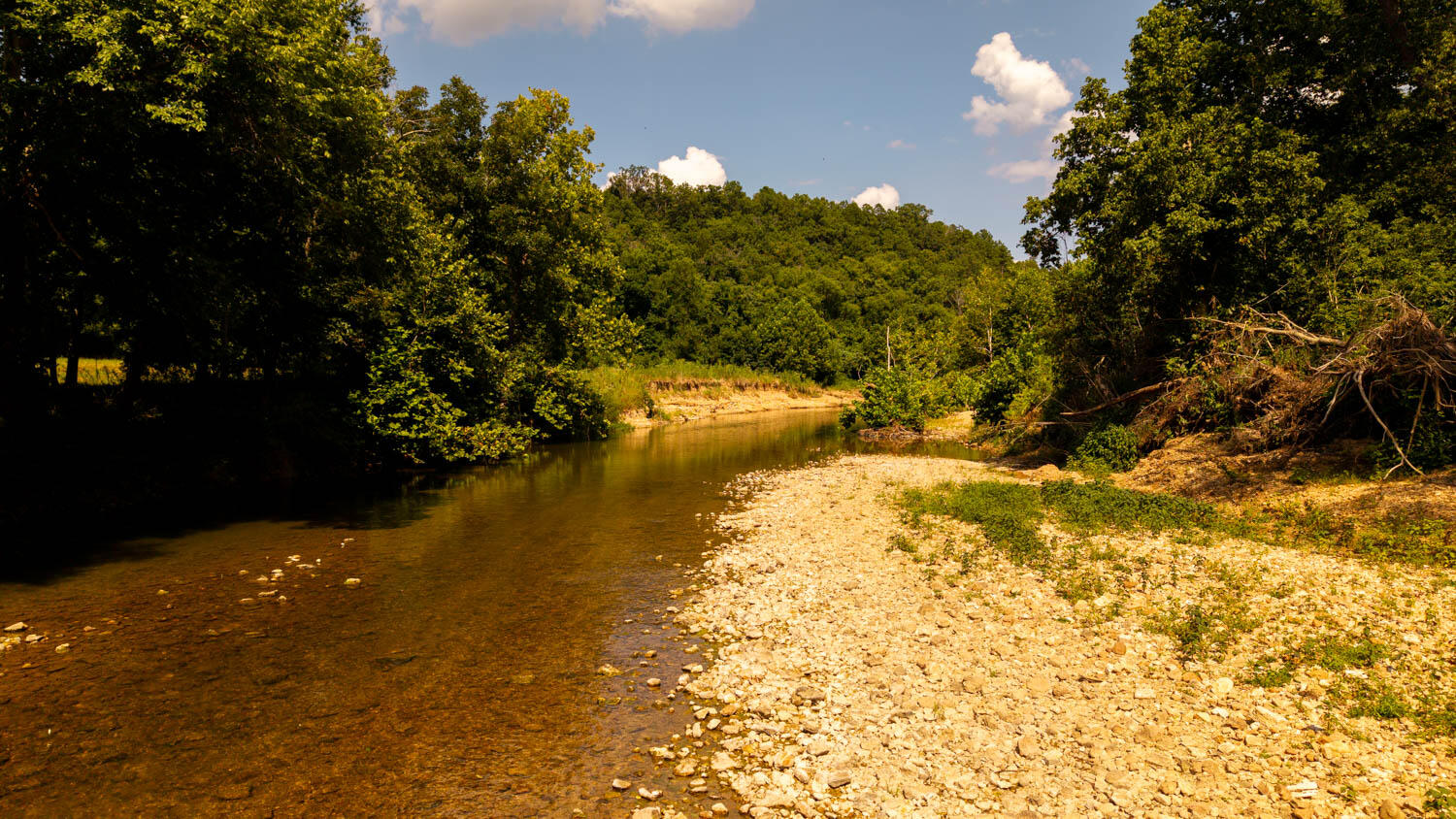 Photo 94 - Land for sale – Tbd  County Road 443   Birch Tree, MO