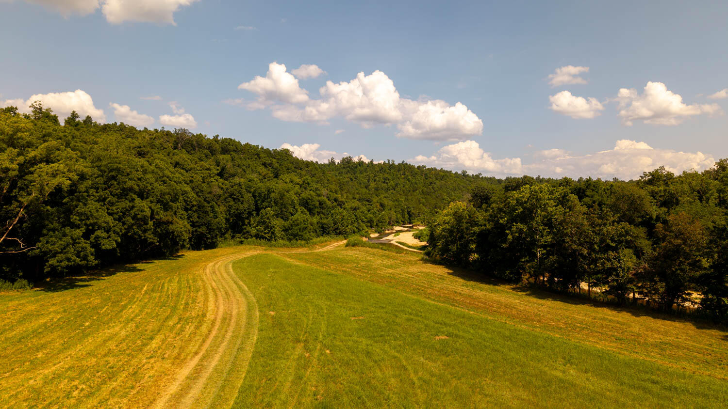 Photo 85 - Land for sale – Tbd  County Road 443   Birch Tree, MO
