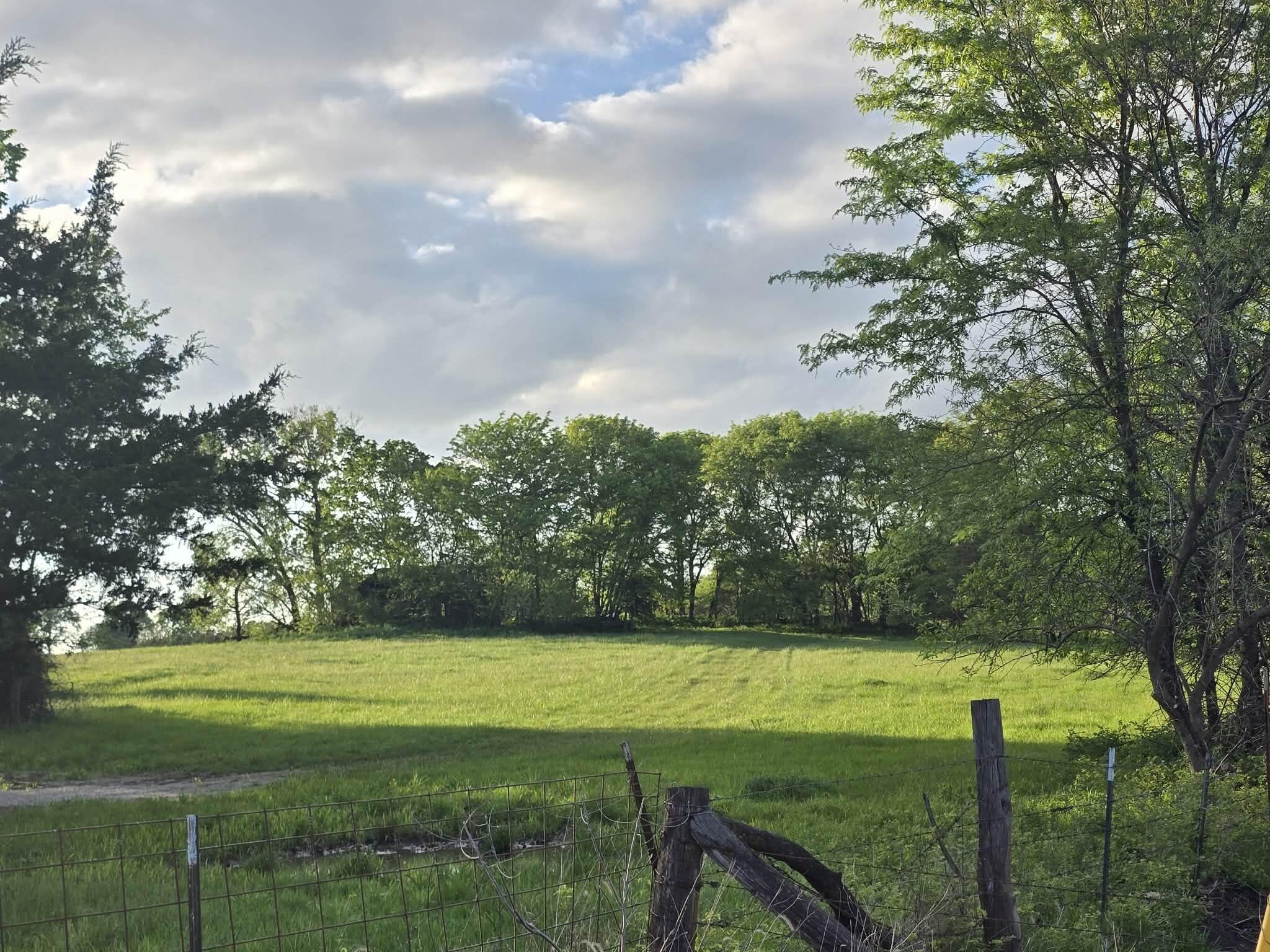 Photo 2 - Land for sale – Tbd  501 Rd 80+/- Acres   Clinton, MO