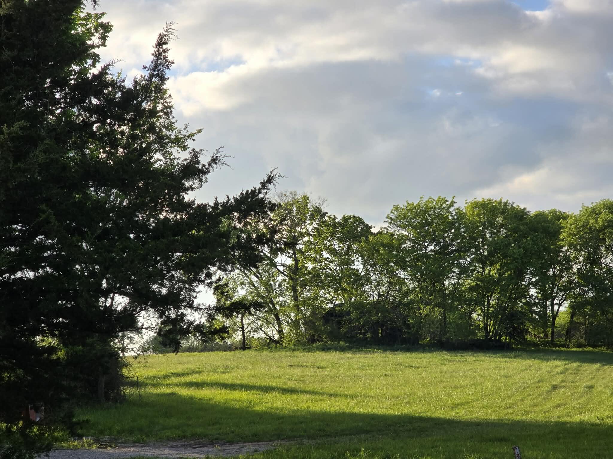 Land for sale – Tbd  501 Rd 80+/- Acres   Clinton, MO