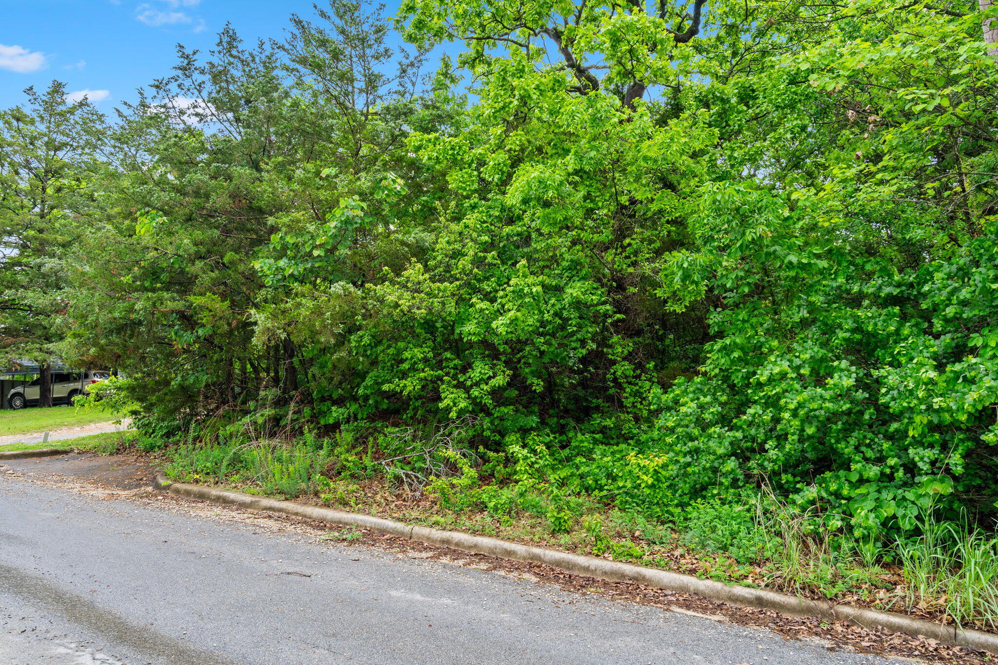 Photo 4 - Land for sale – 751  Aaron Way  Branson, MO