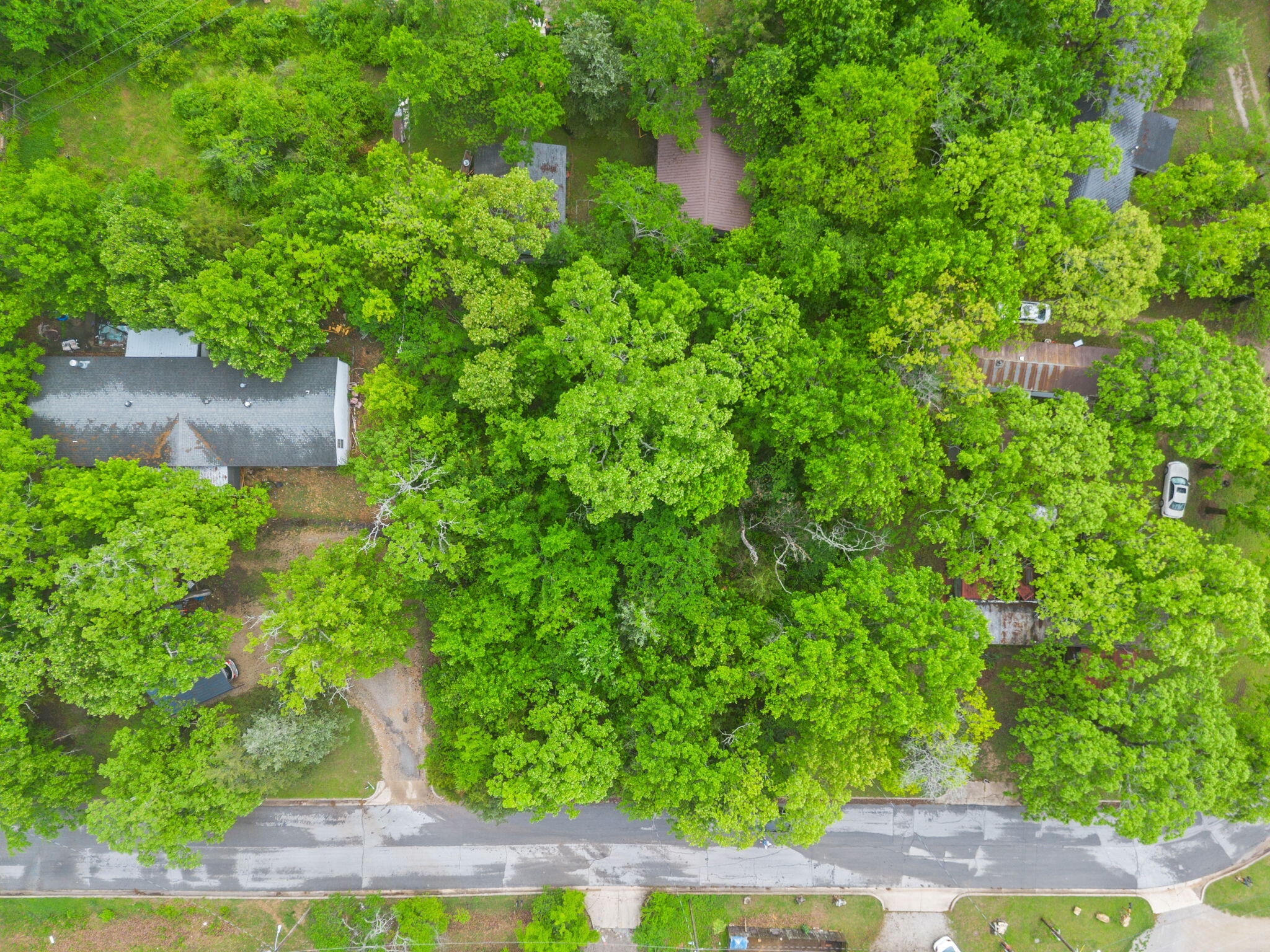Photo 3 - Land for sale – 751  Aaron Way  Branson, MO