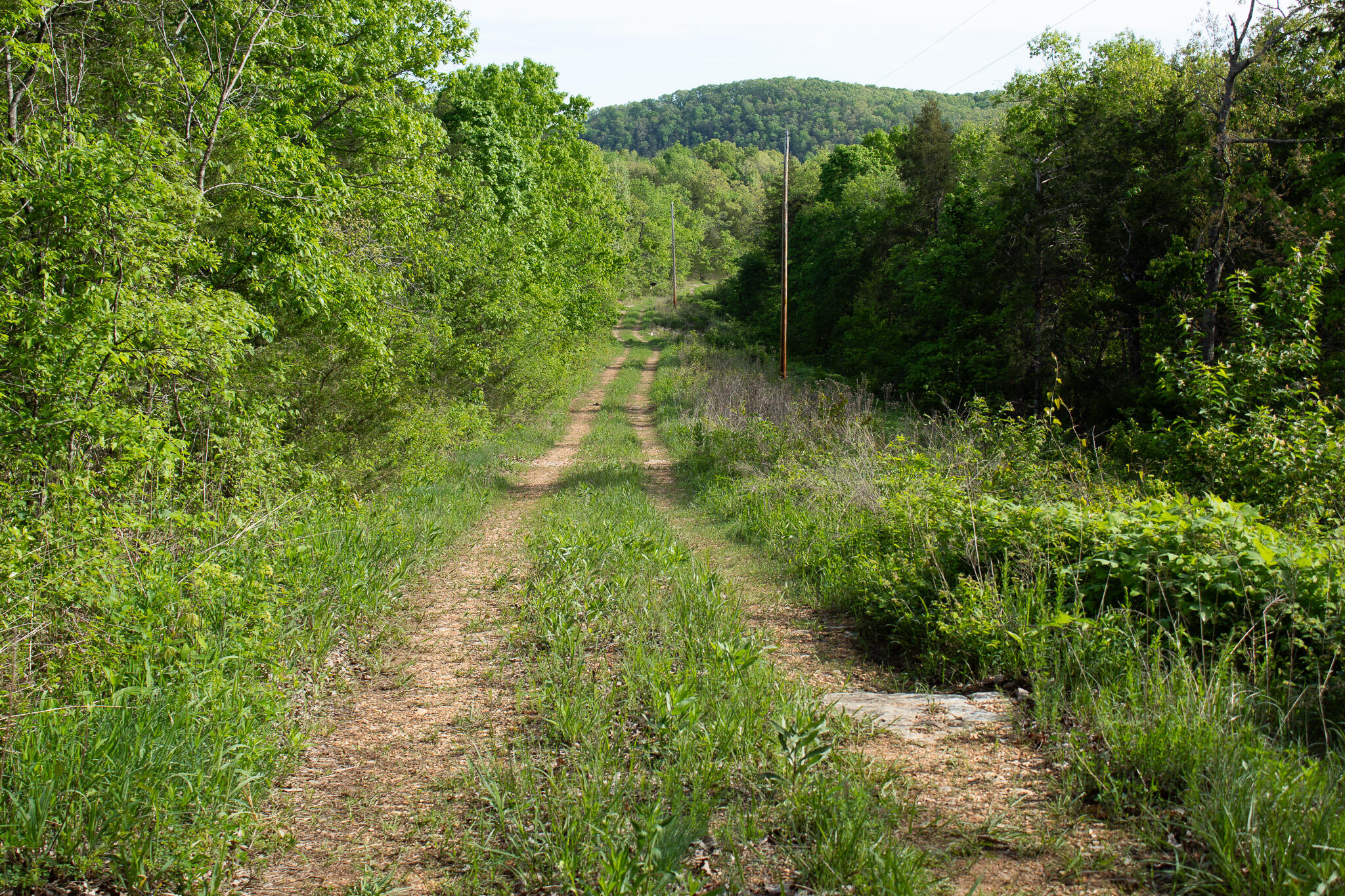 Photo 4 - Land for sale – 000  Terrace Lane  Cape Fair, MO