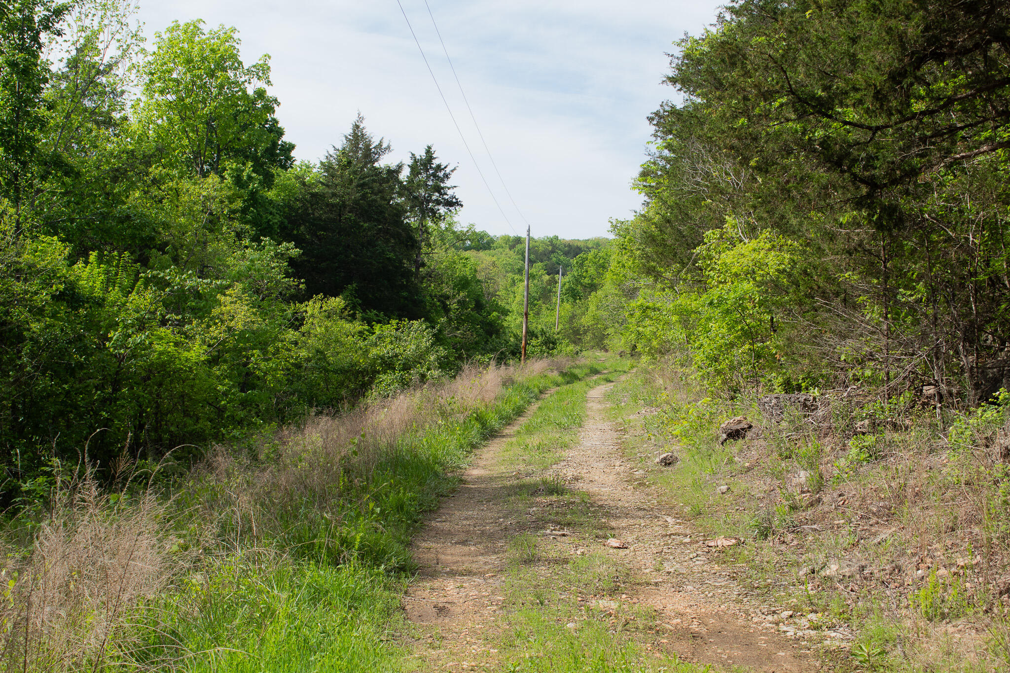 Photo 25 - Land for sale – 000  Terrace Lane  Cape Fair, MO