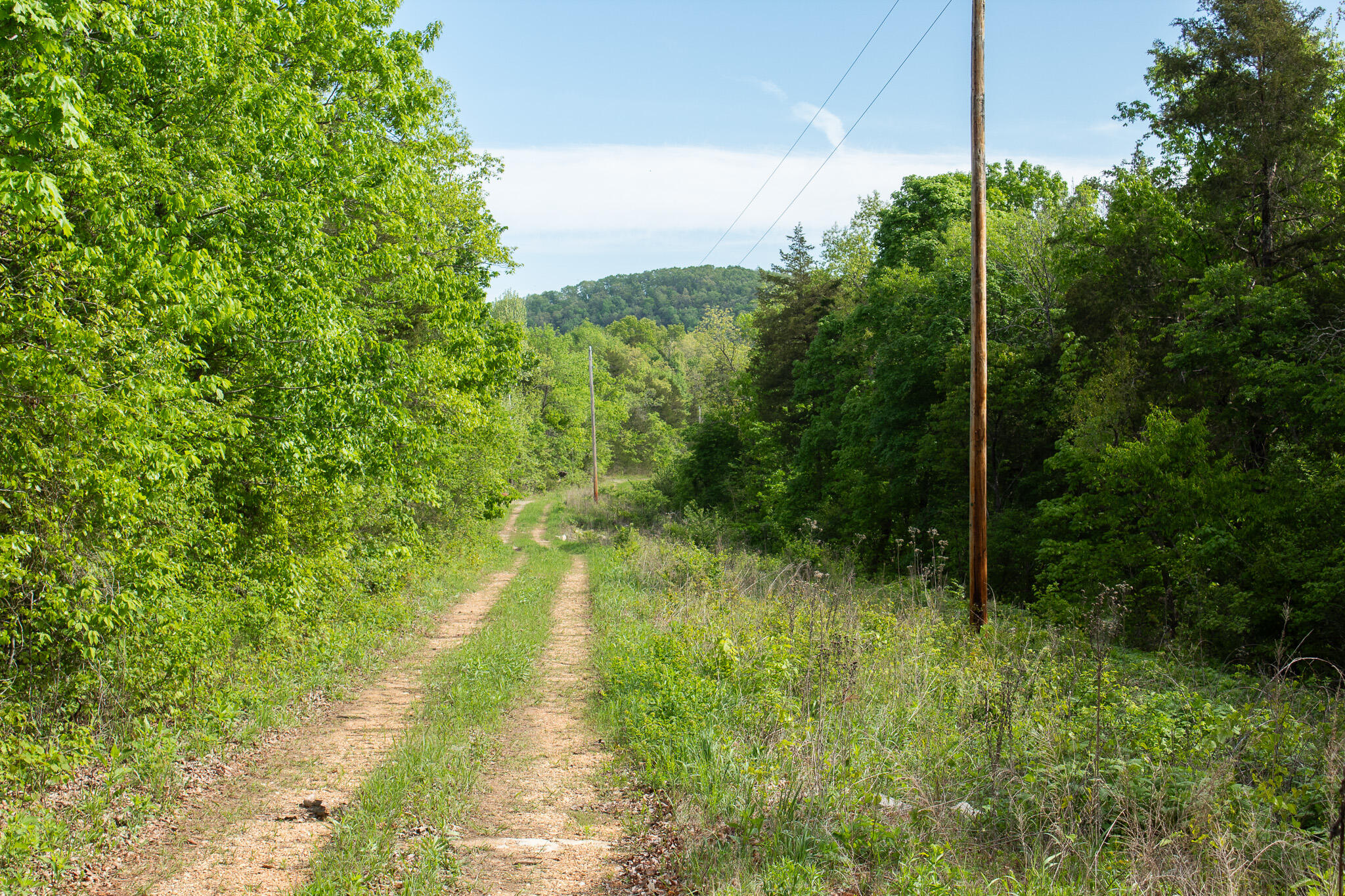 Photo 29 - Land for sale – 000  Terrace Lane  Cape Fair, MO