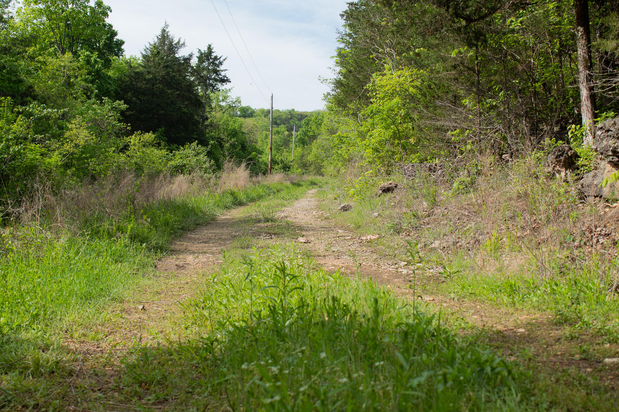Photo 24 - Land for sale – 000  Terrace Lane  Cape Fair, MO