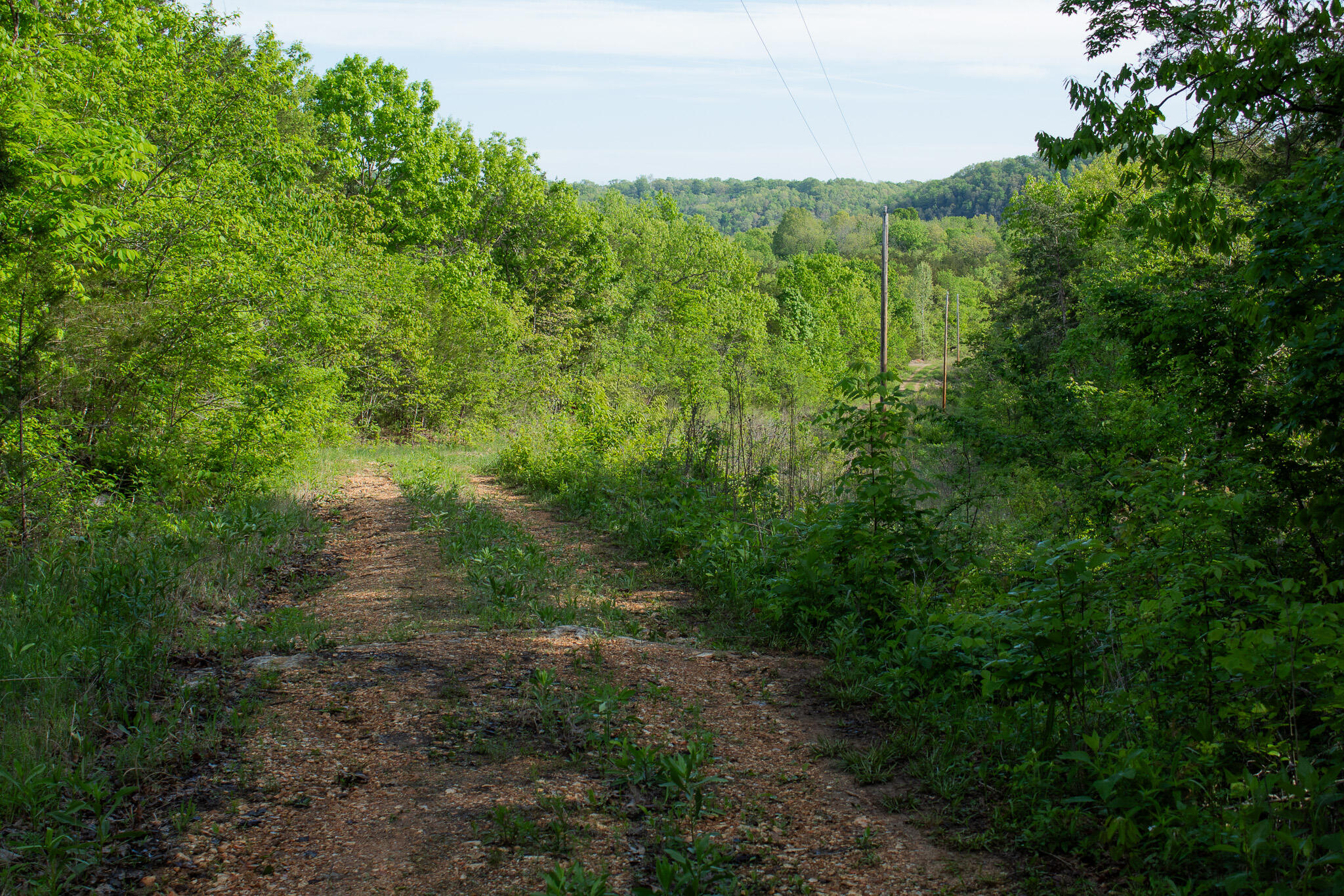 Photo 2 - Land for sale – 000  Terrace Lane  Cape Fair, MO