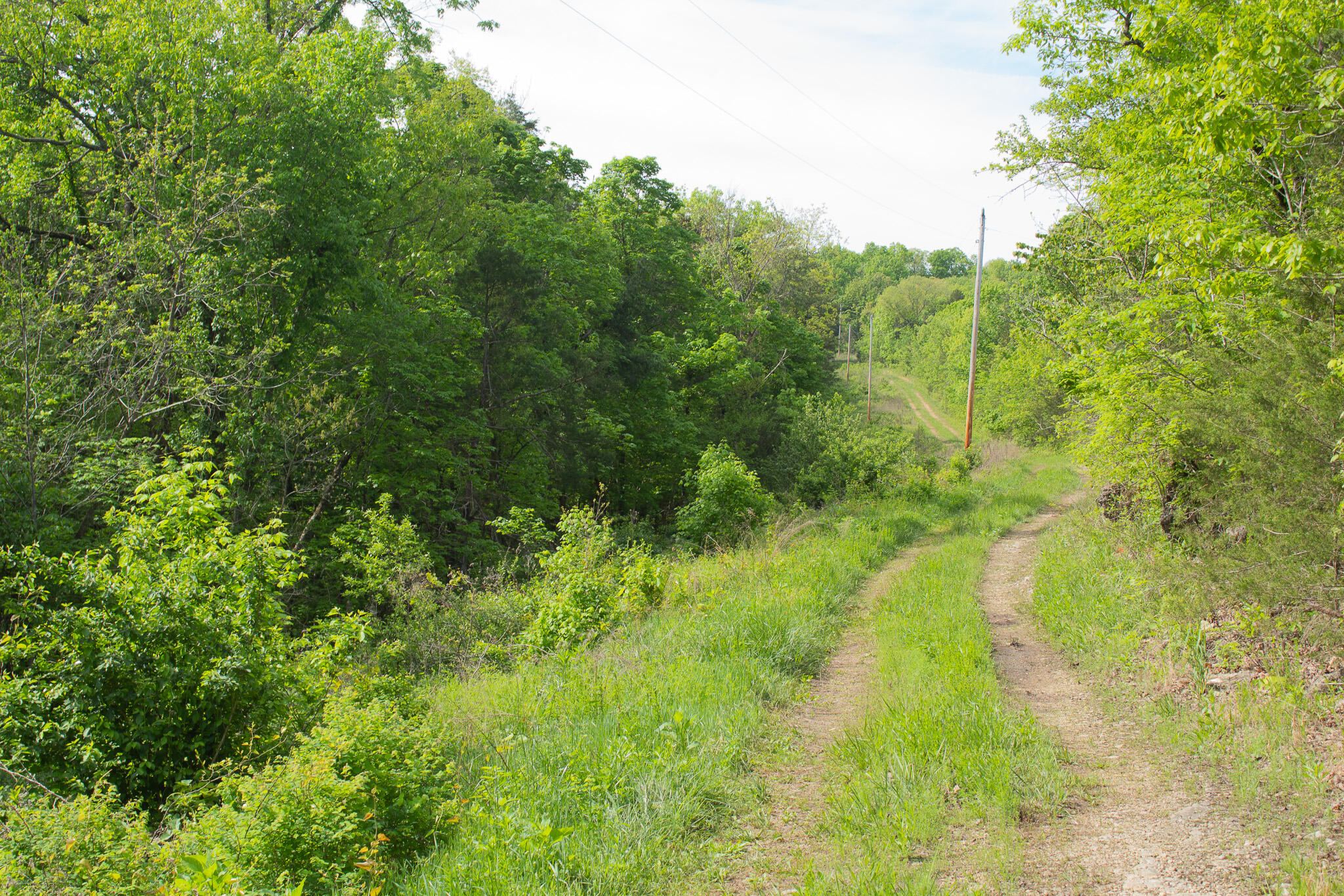 Photo 26 - Land for sale – 000  Terrace Lane  Cape Fair, MO