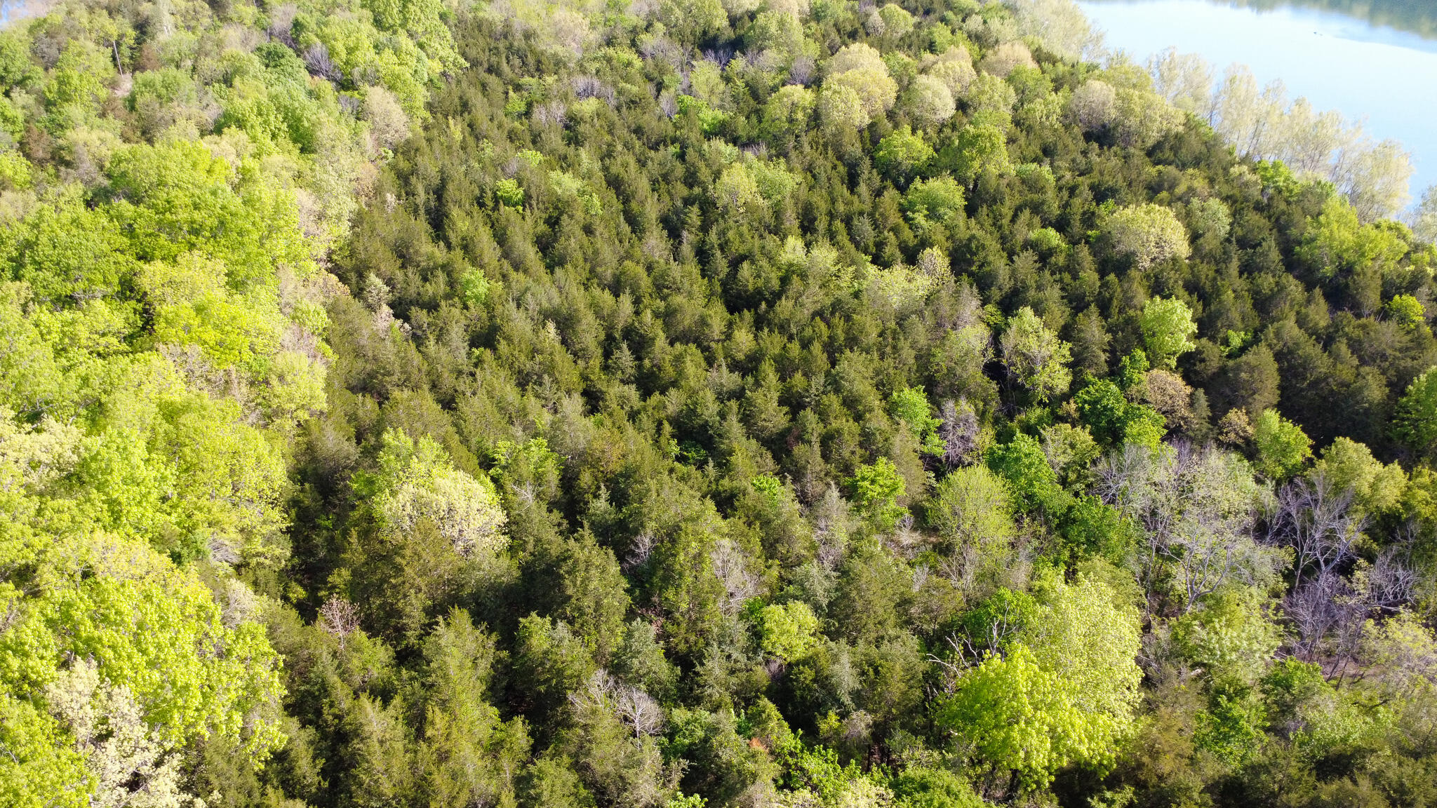 Photo 38 - Land for sale – 000  Terrace Lane  Cape Fair, MO