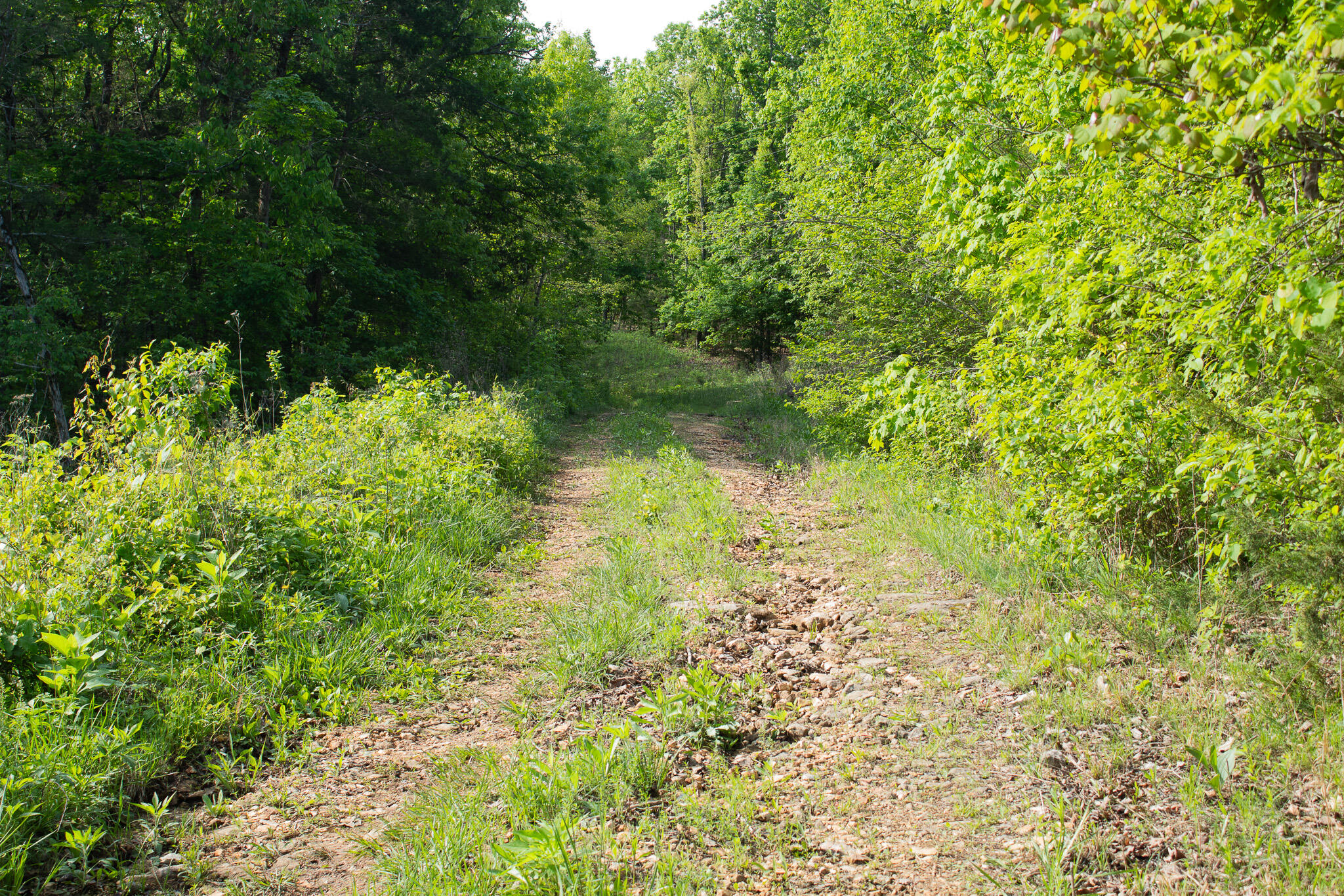 Land for sale – 000 Terrace Lane Cape Fair, MO