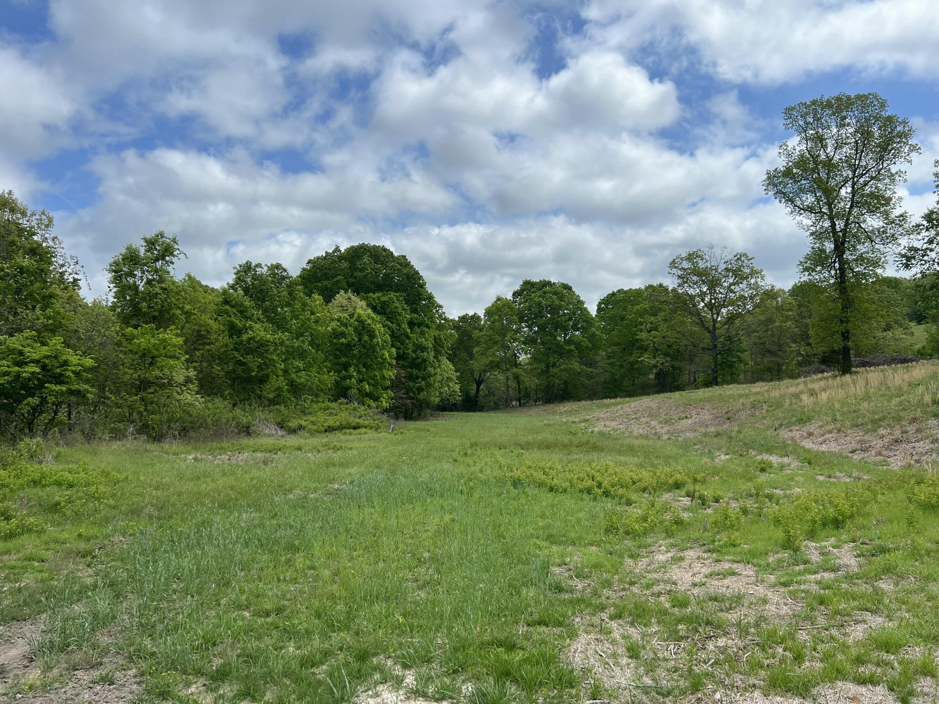 Photo 14 - Land for sale – Co Rd 321  Route 5   Ava, MO