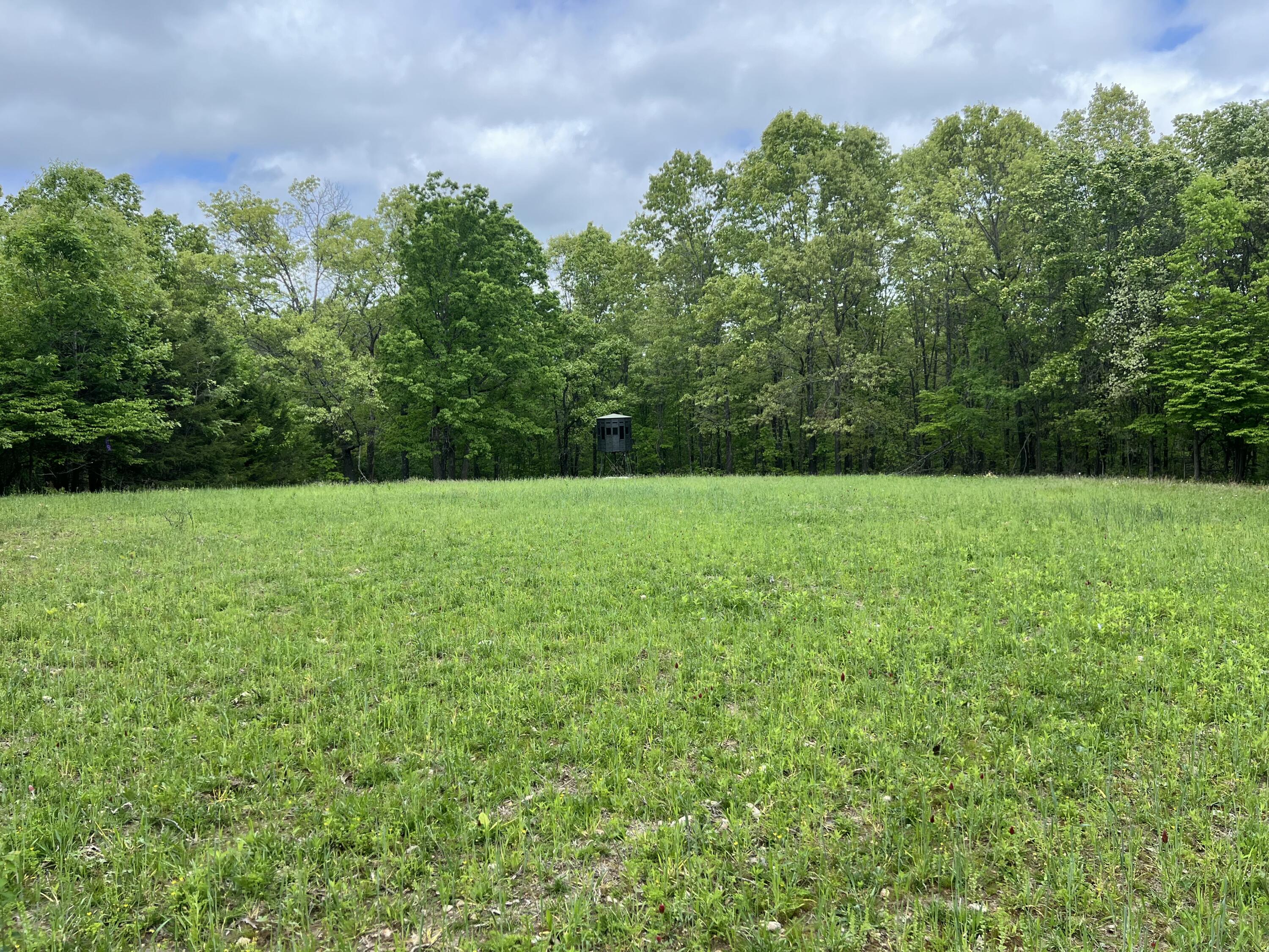 Photo 21 - Land for sale – Co Rd 321  Route 5   Ava, MO