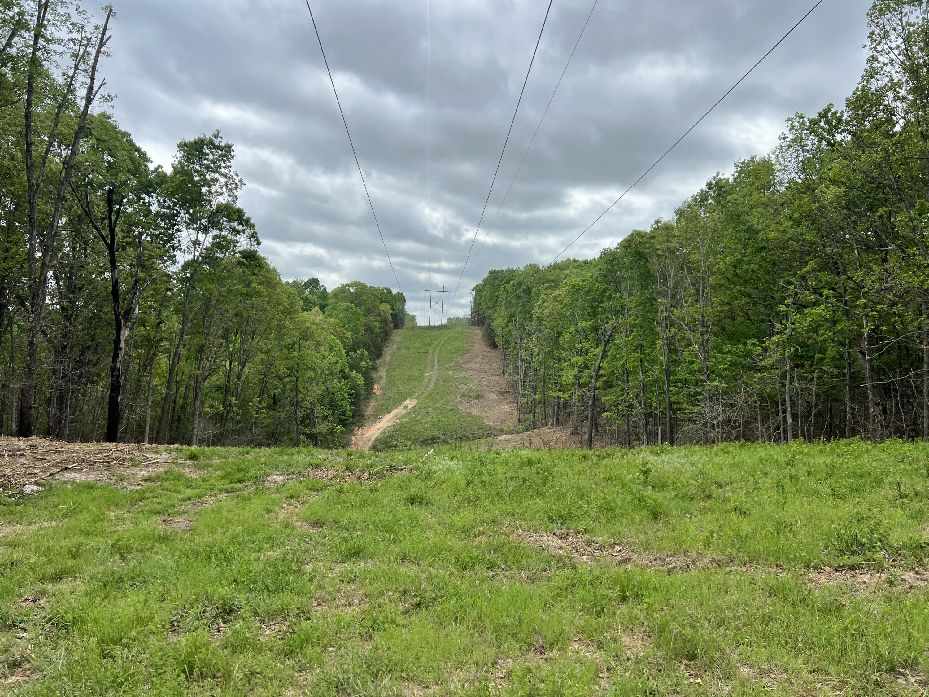 Photo 25 - Land for sale – Co Rd 321  Route 5   Ava, MO
