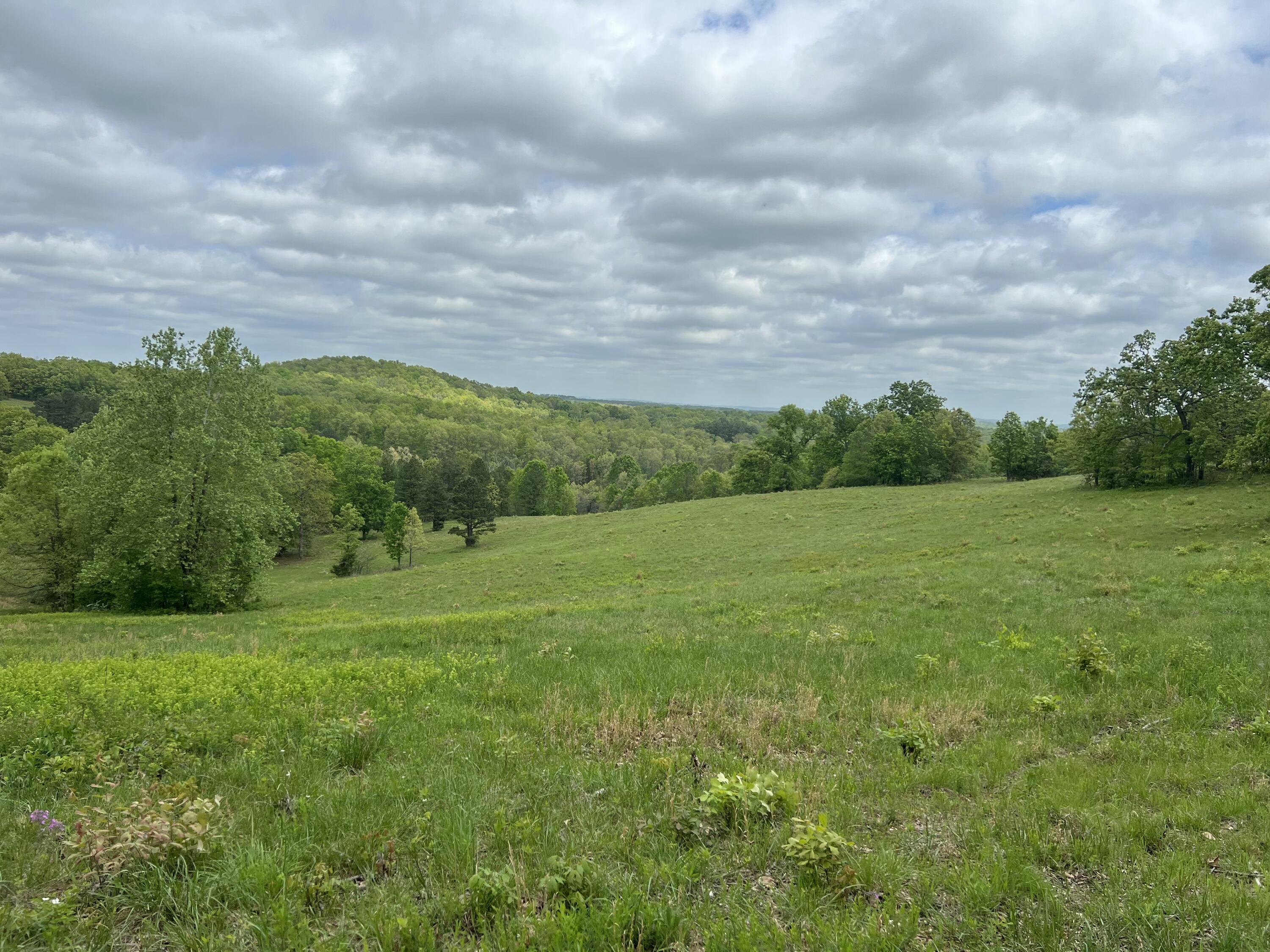 Photo 15 - Land for sale – Co Rd 321  Route 5   Ava, MO