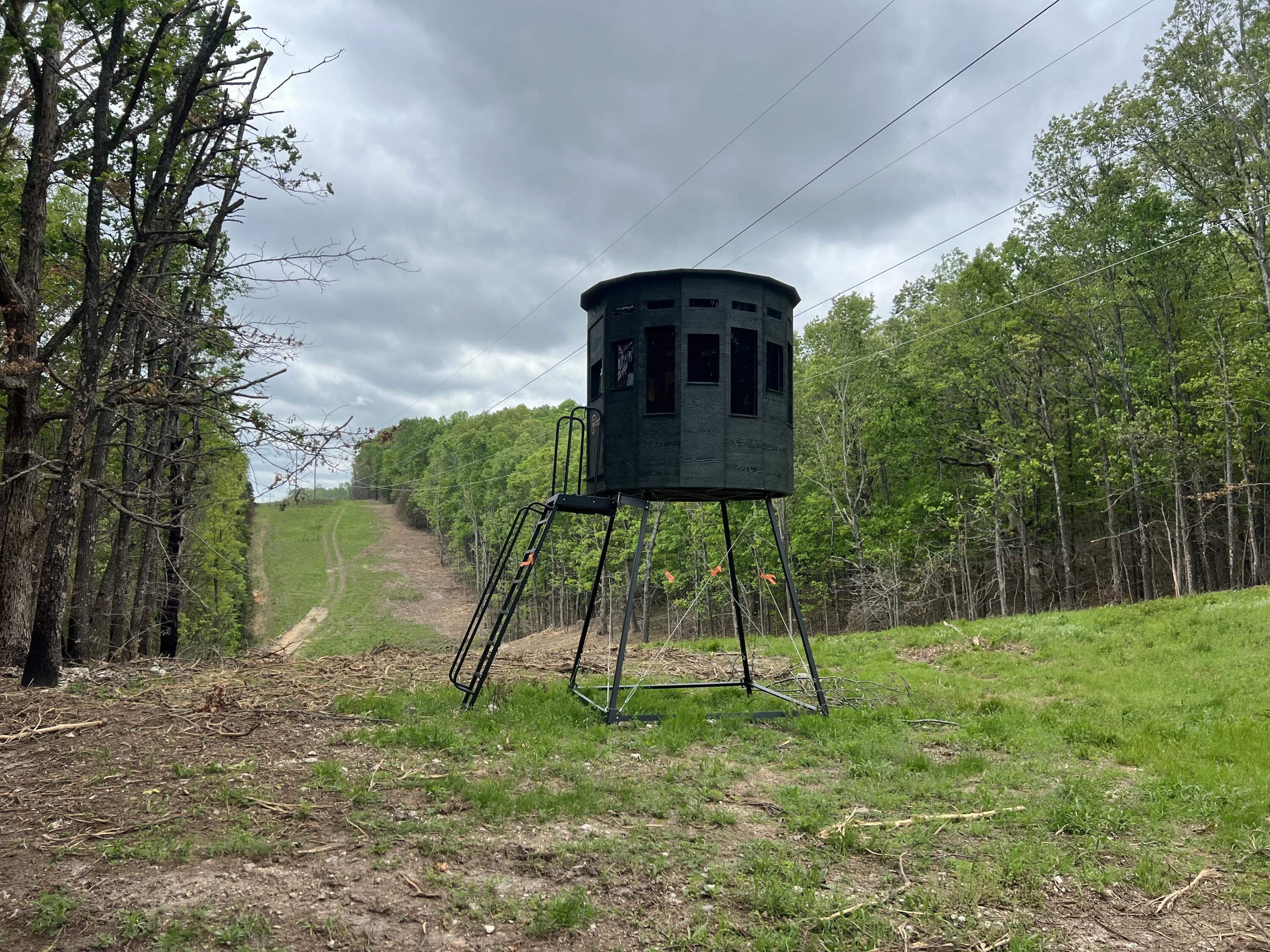Photo 2 - Land for sale – Co Rd 321  Route 5   Ava, MO