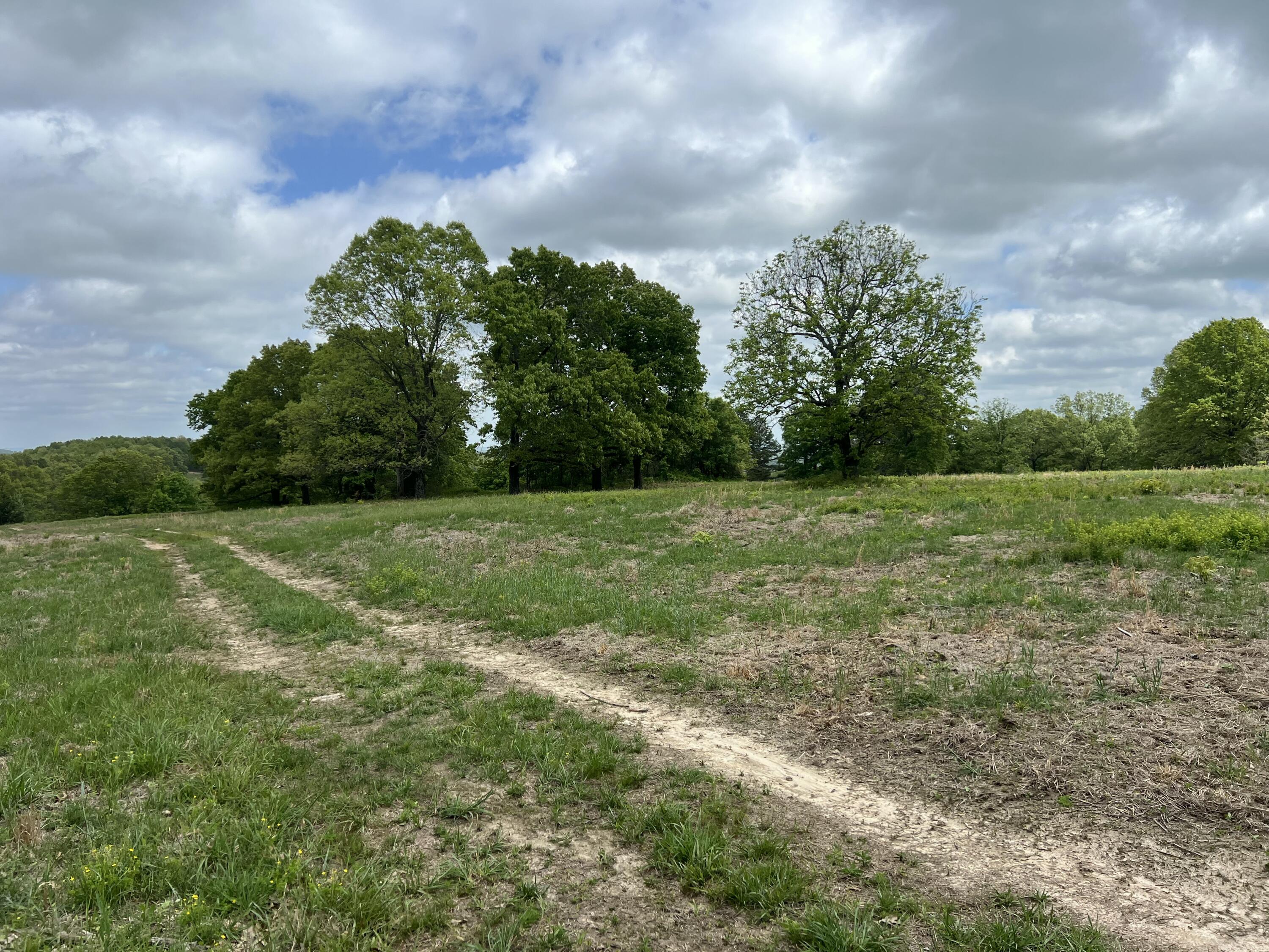 Photo 28 - Land for sale – Co Rd 321  Route 5   Ava, MO
