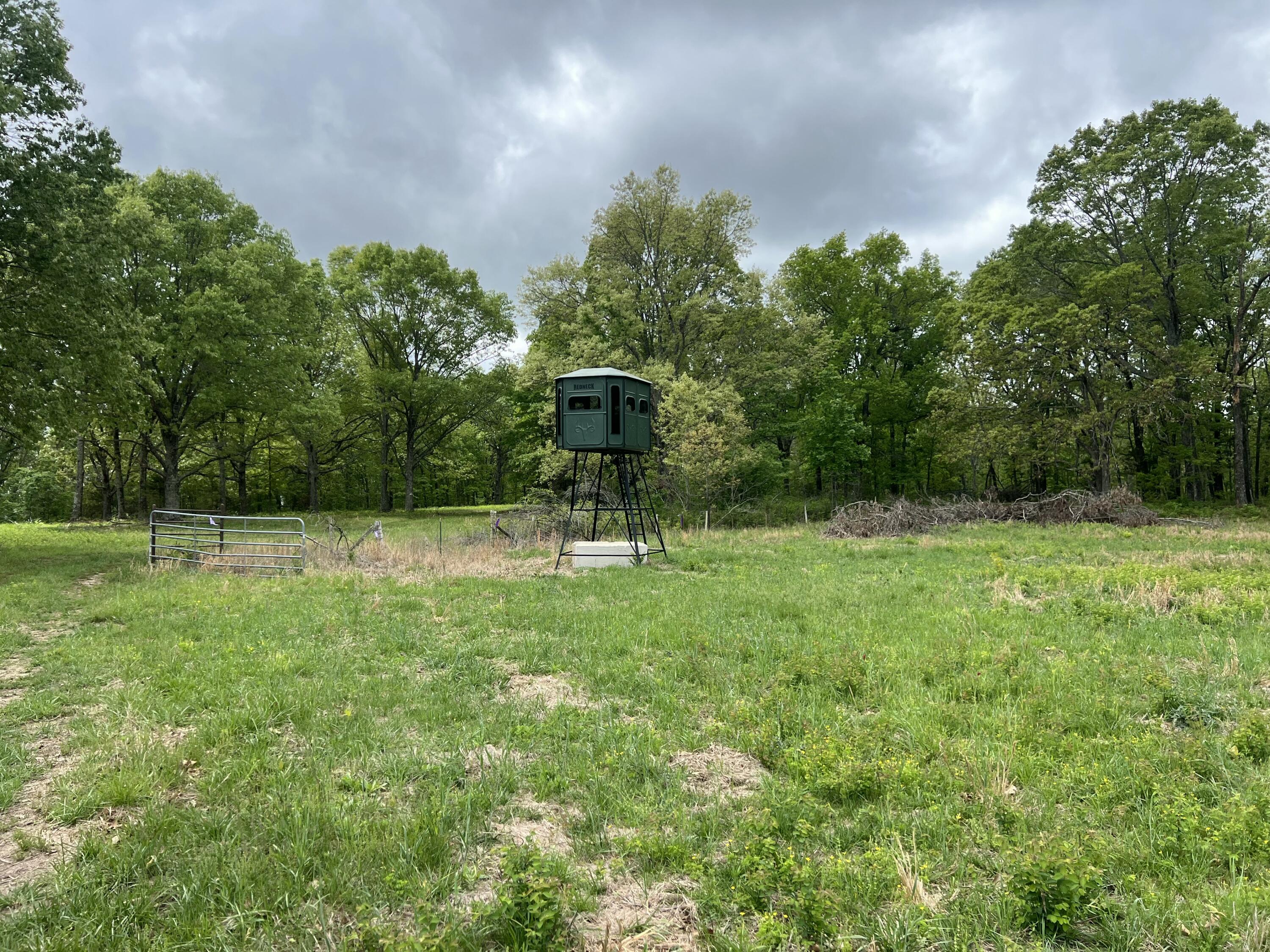 Photo 27 - Land for sale – Co Rd 321  Route 5   Ava, MO