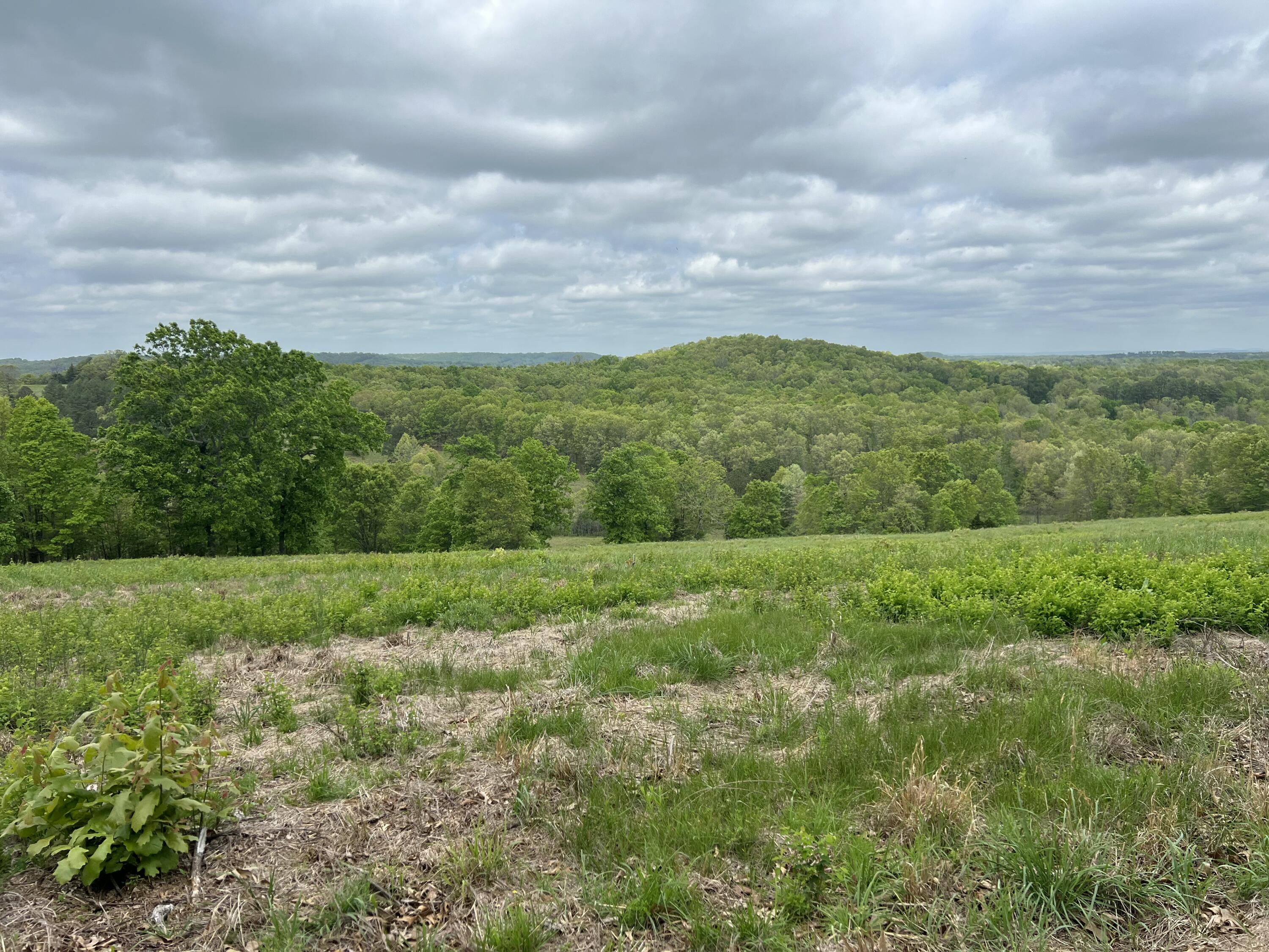 Photo 18 - Land for sale – Co Rd 321  Route 5   Ava, MO