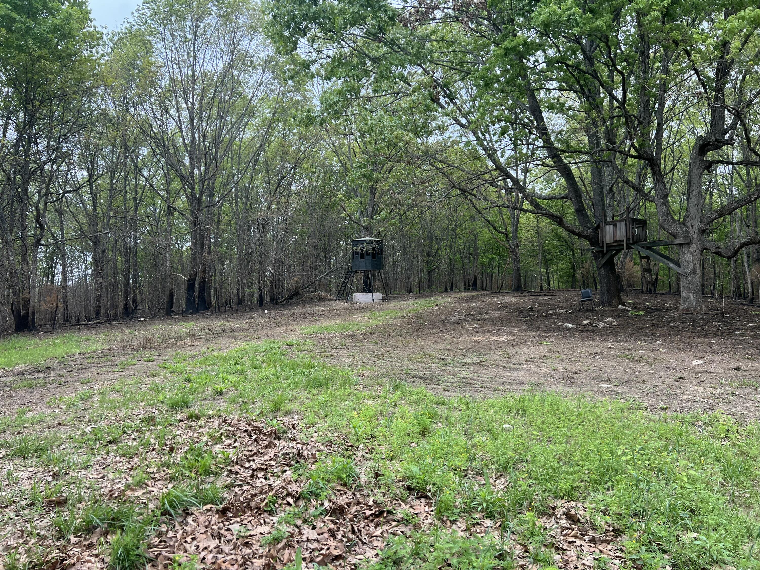 Photo 24 - Land for sale – Co Rd 321  Route 5   Ava, MO