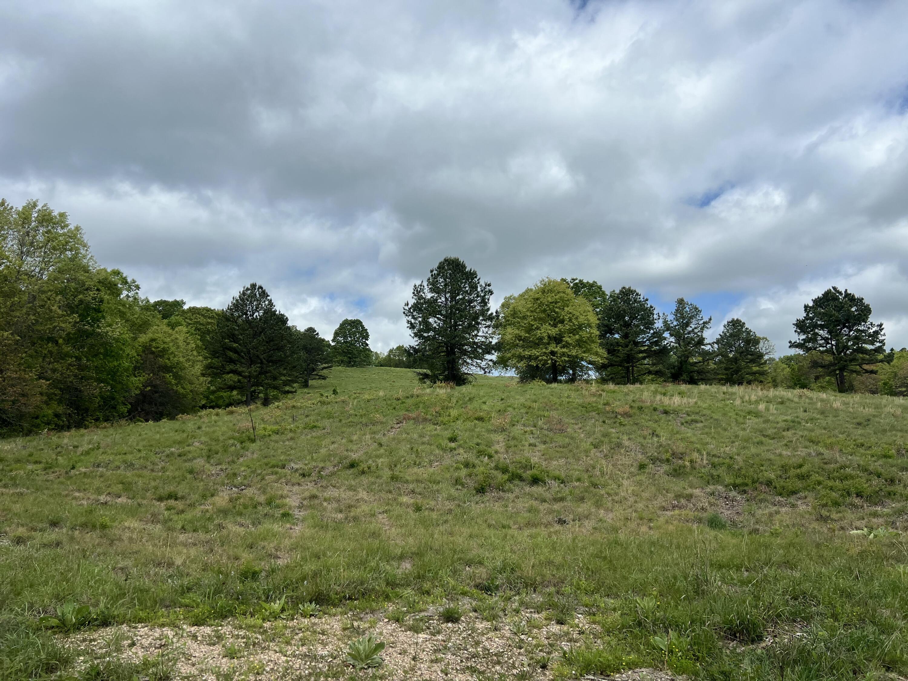 Photo 12 - Land for sale – Co Rd 321  Route 5   Ava, MO