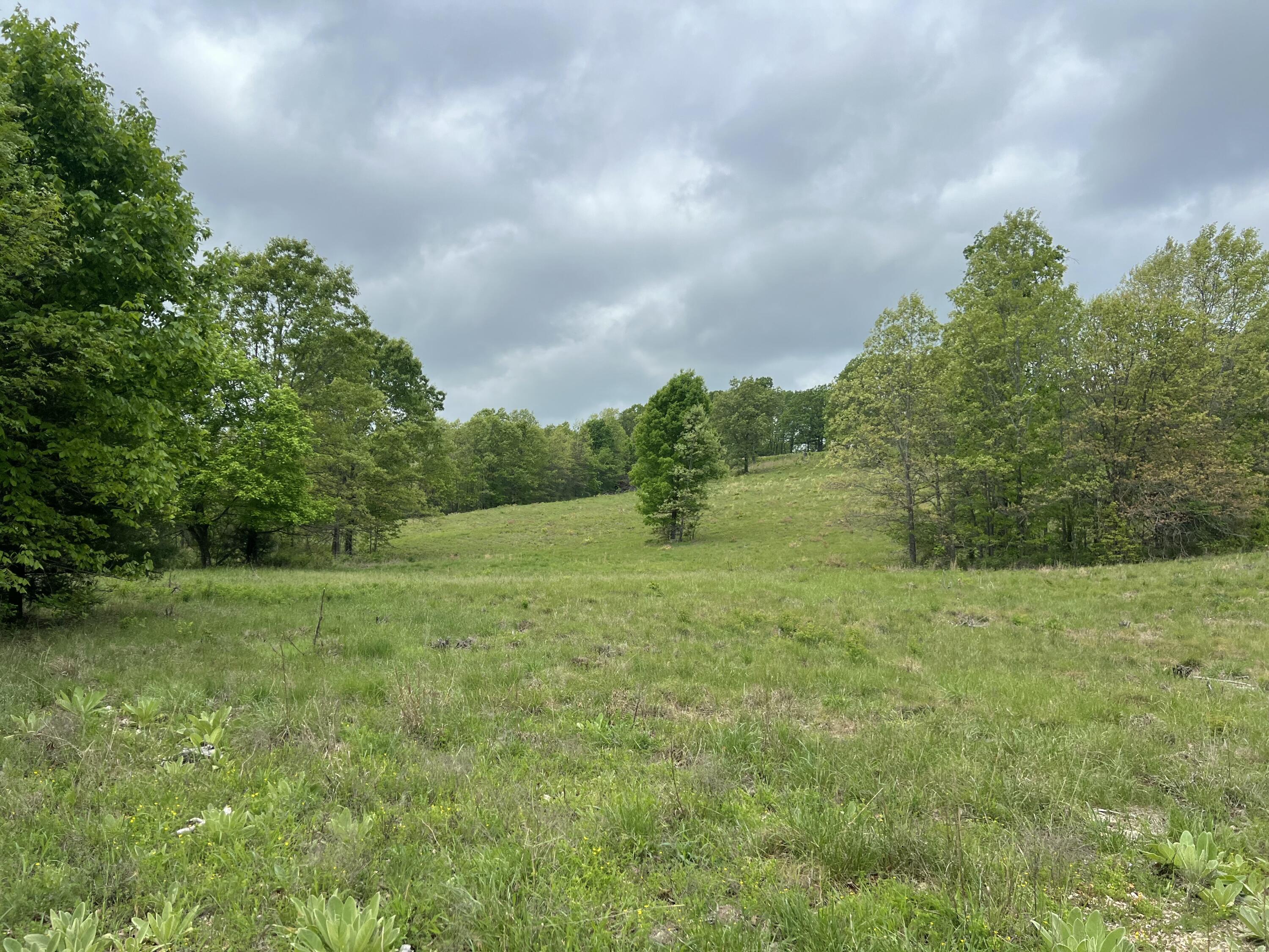 Photo 11 - Land for sale – Co Rd 321  Route 5   Ava, MO