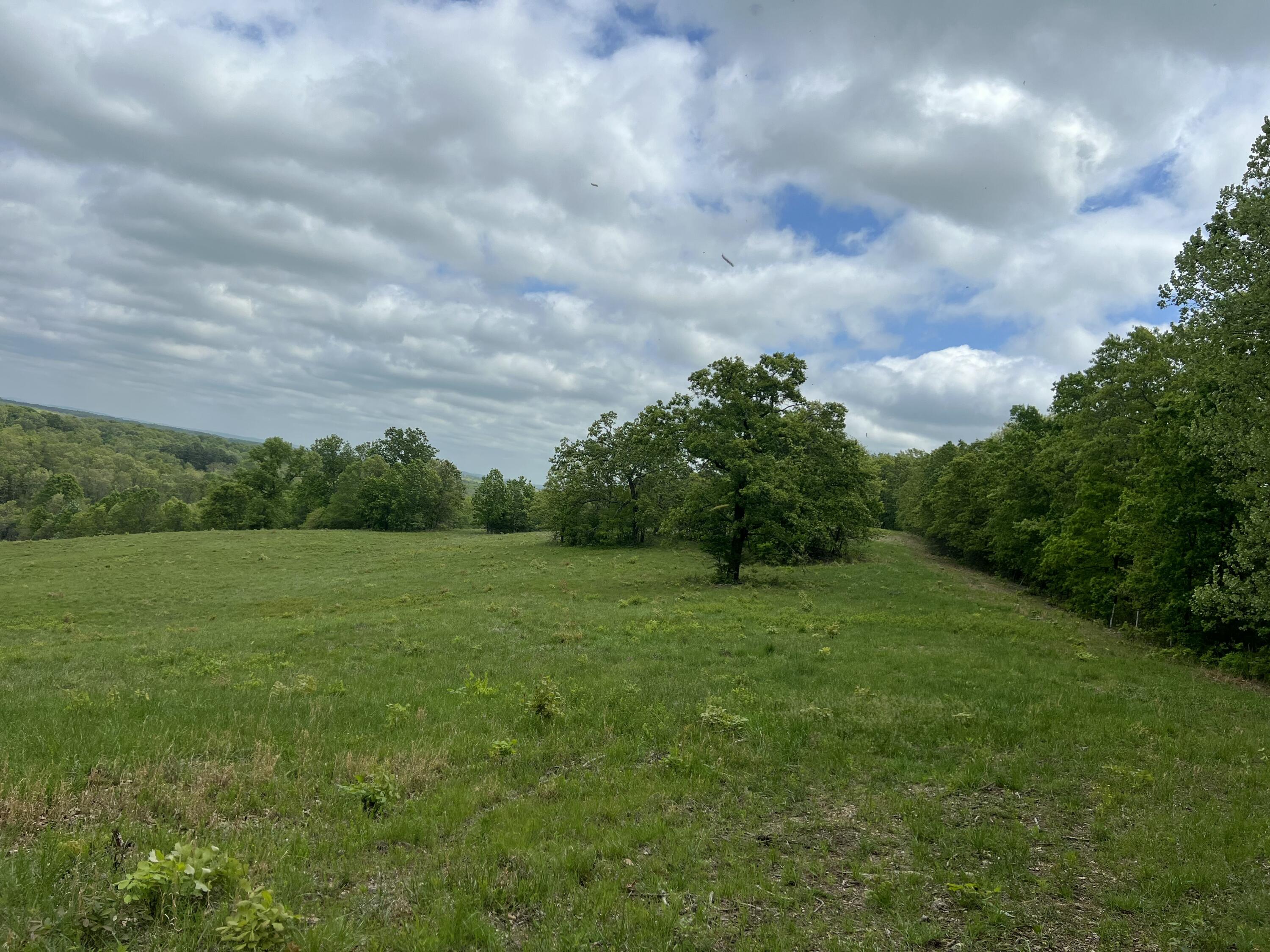 Photo 16 - Land for sale – Co Rd 321  Route 5   Ava, MO