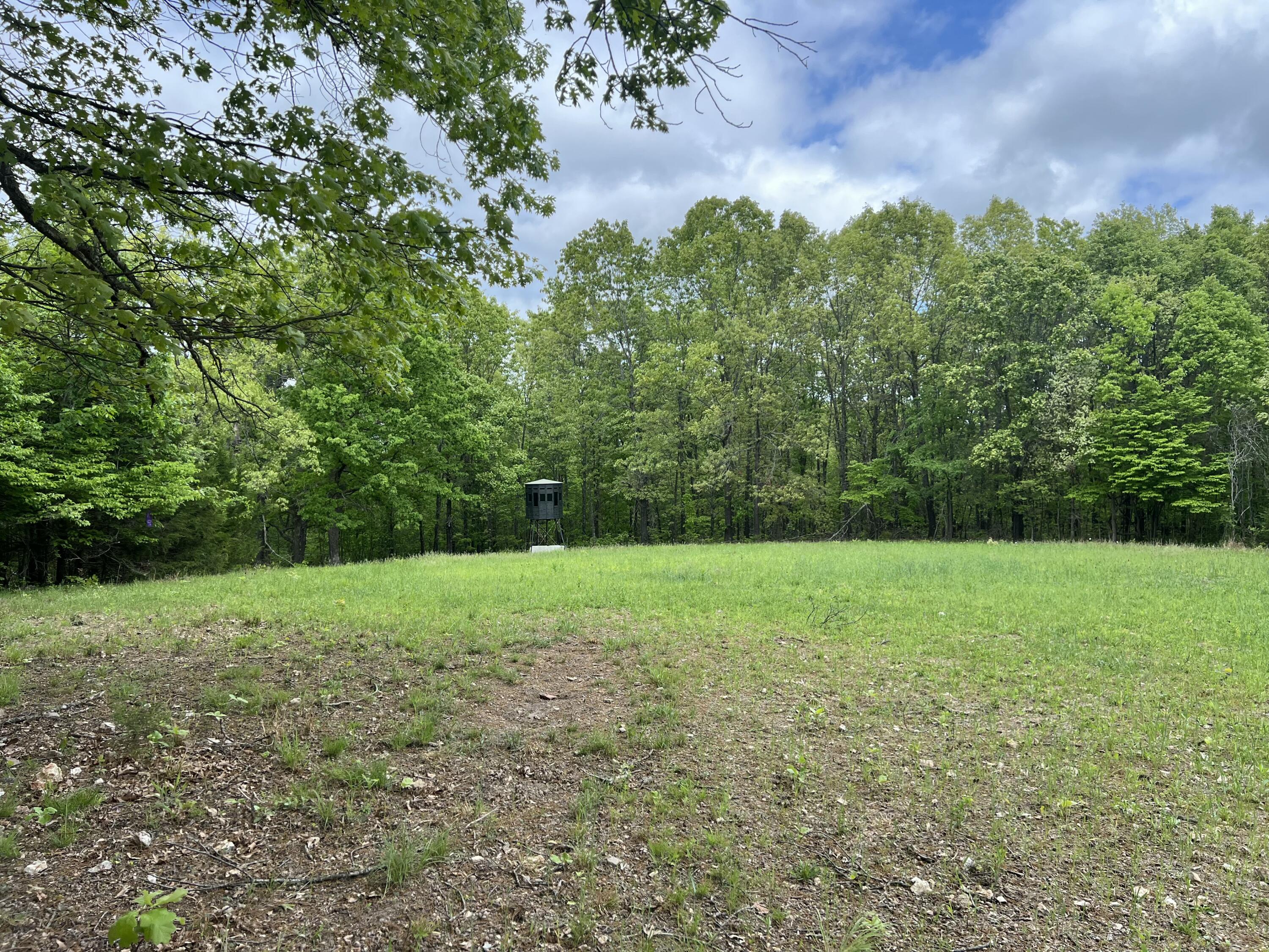 Photo 20 - Land for sale – Co Rd 321  Route 5   Ava, MO