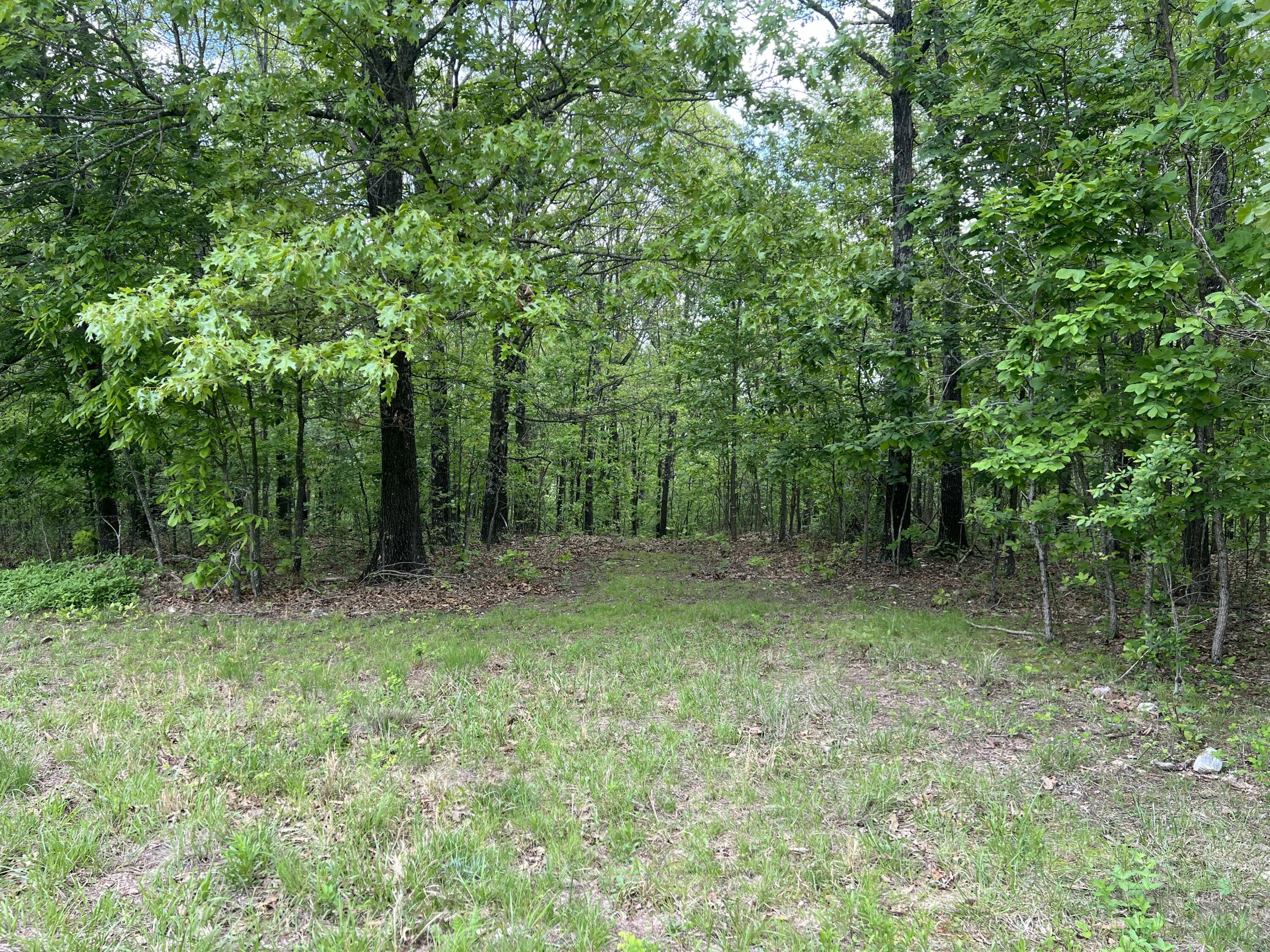 Photo 22 - Land for sale – Co Rd 321  Route 5   Ava, MO