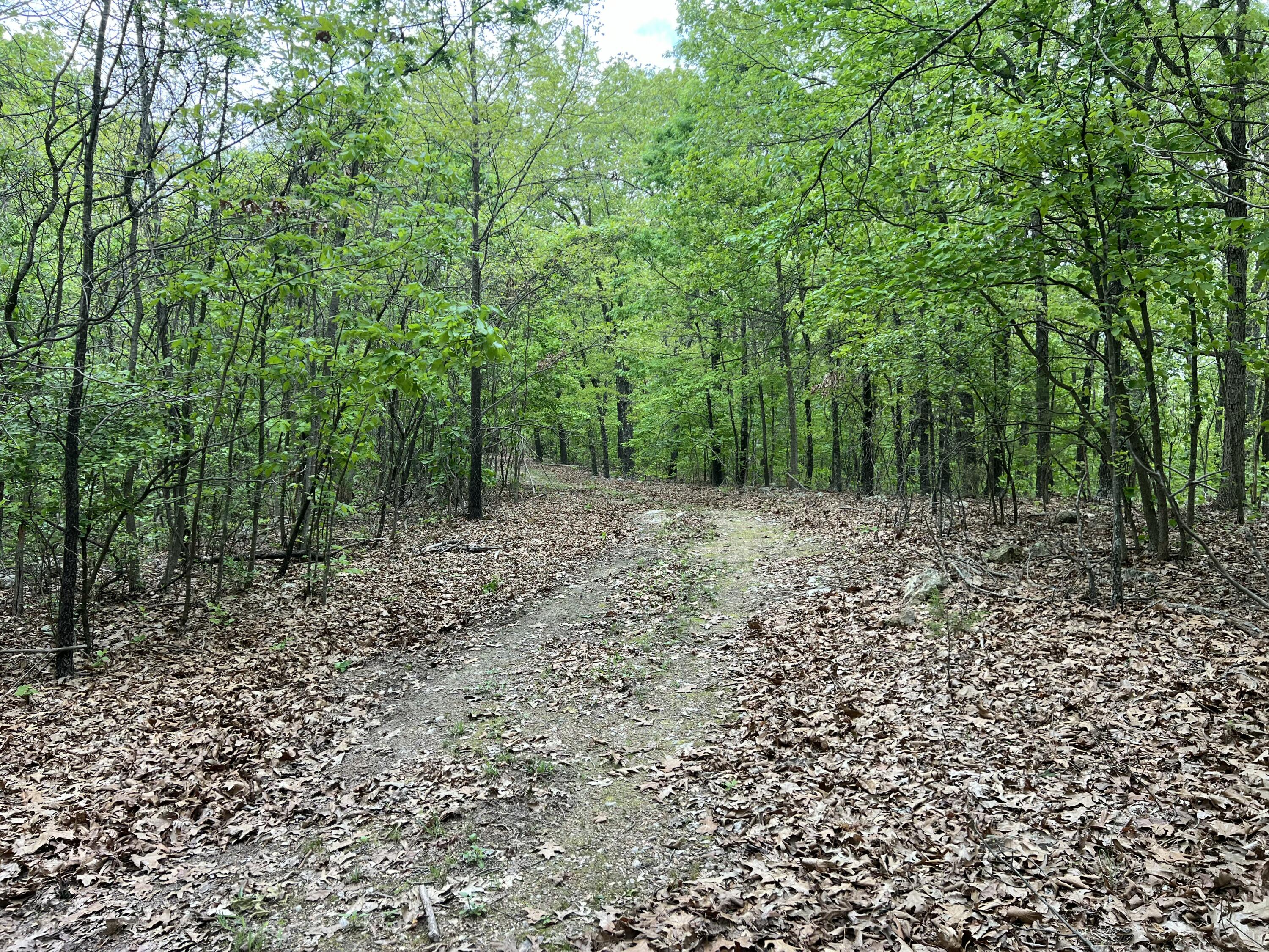 Photo 19 - Land for sale – Co Rd 321  Route 5   Ava, MO