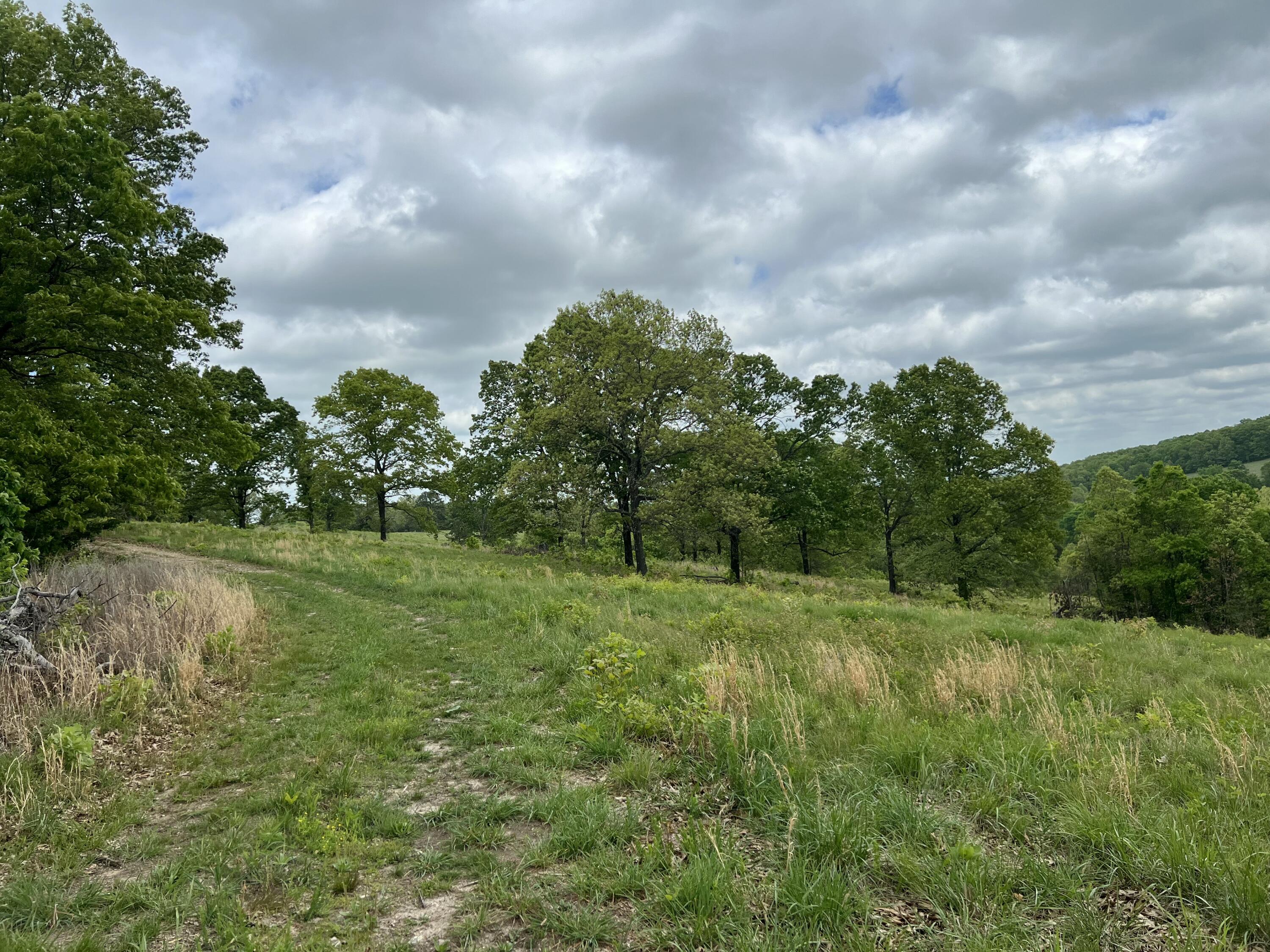 Photo 29 - Land for sale – Co Rd 321  Route 5   Ava, MO