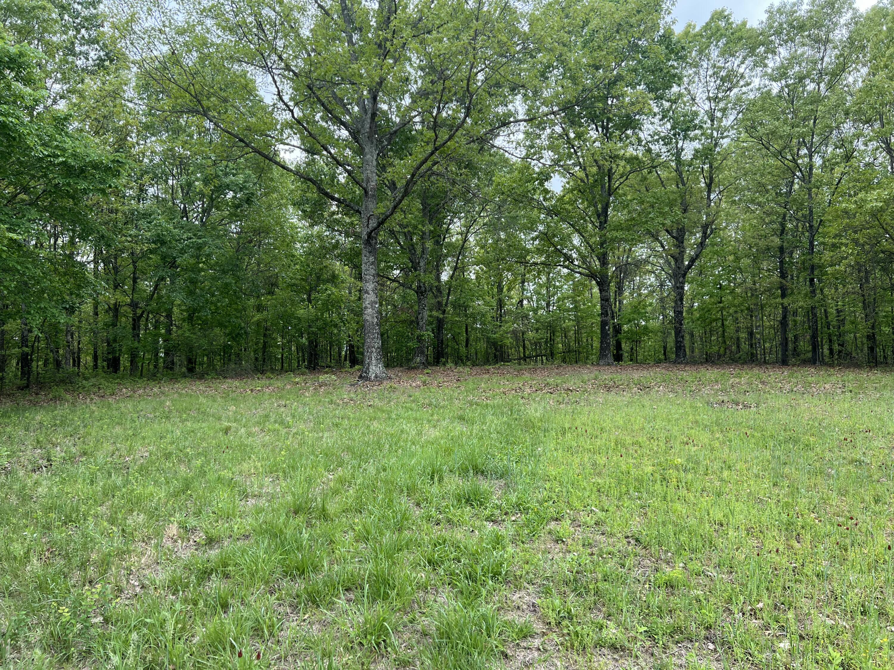 Photo 23 - Land for sale – Co Rd 321  Route 5   Ava, MO