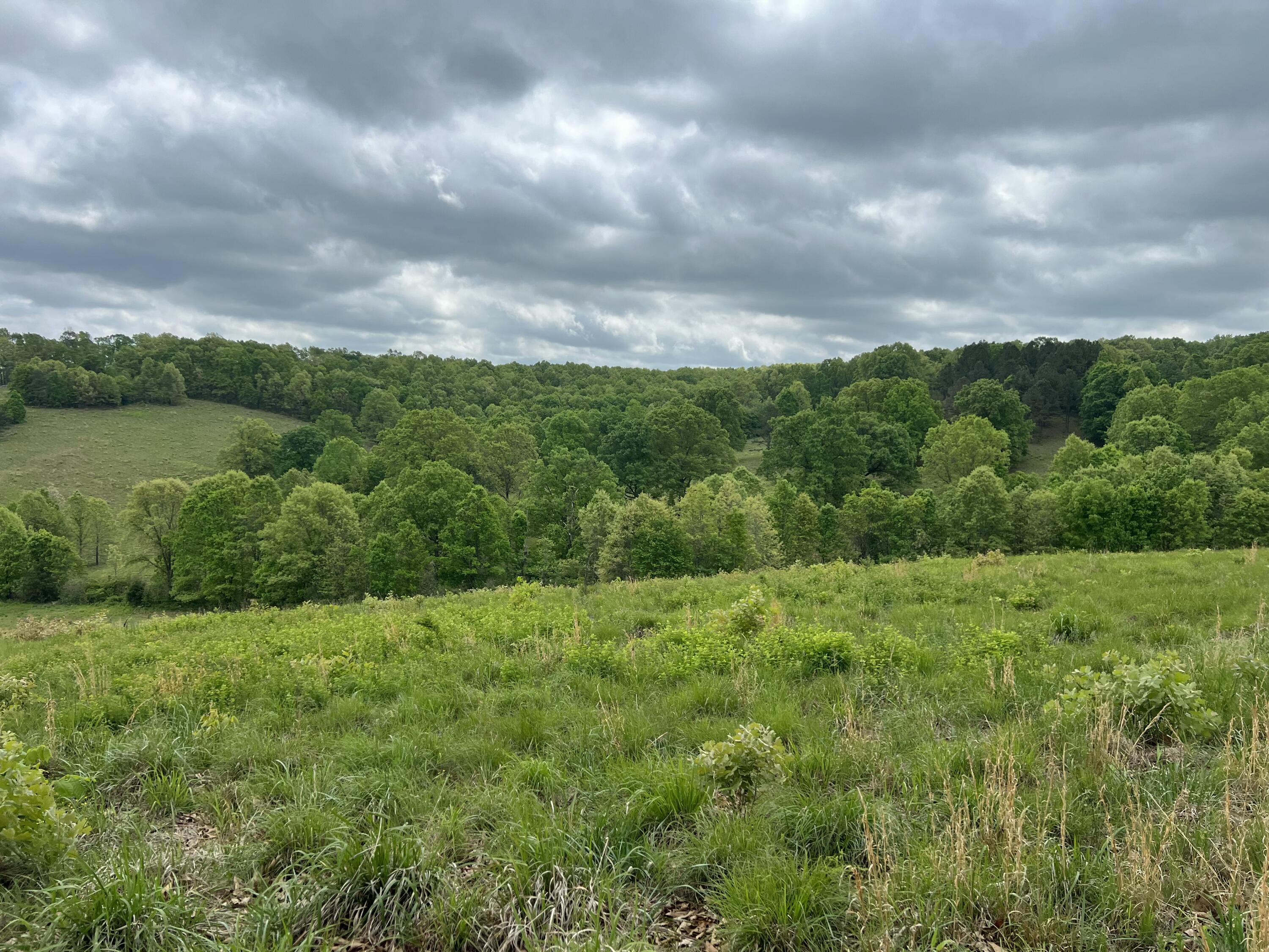 Land for sale – Co Rd 321  Route 5   Ava, MO