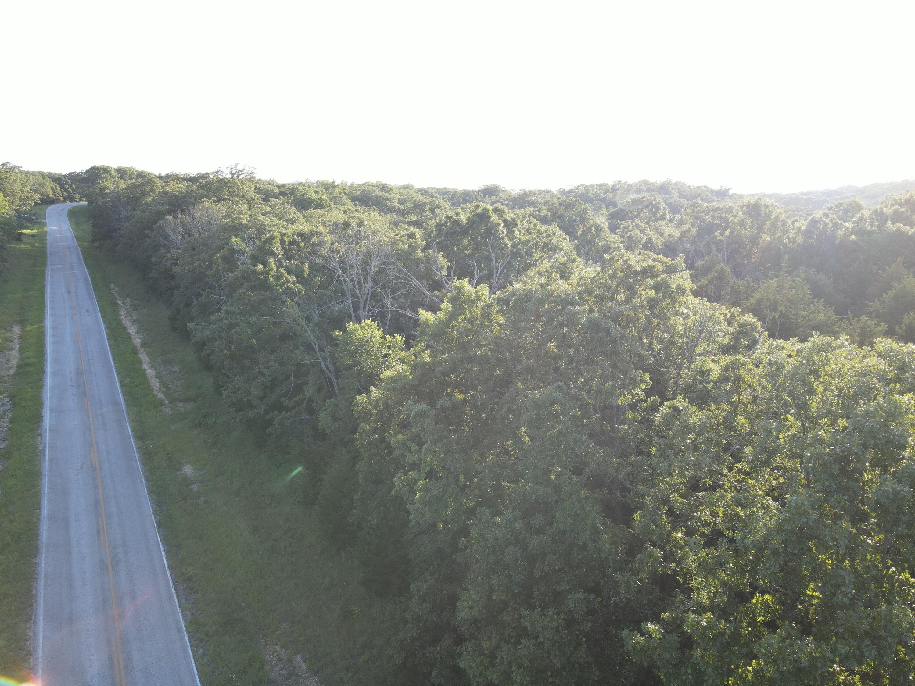 Photo 5 - Land for sale – 000 S Highway J   Stockton, MO