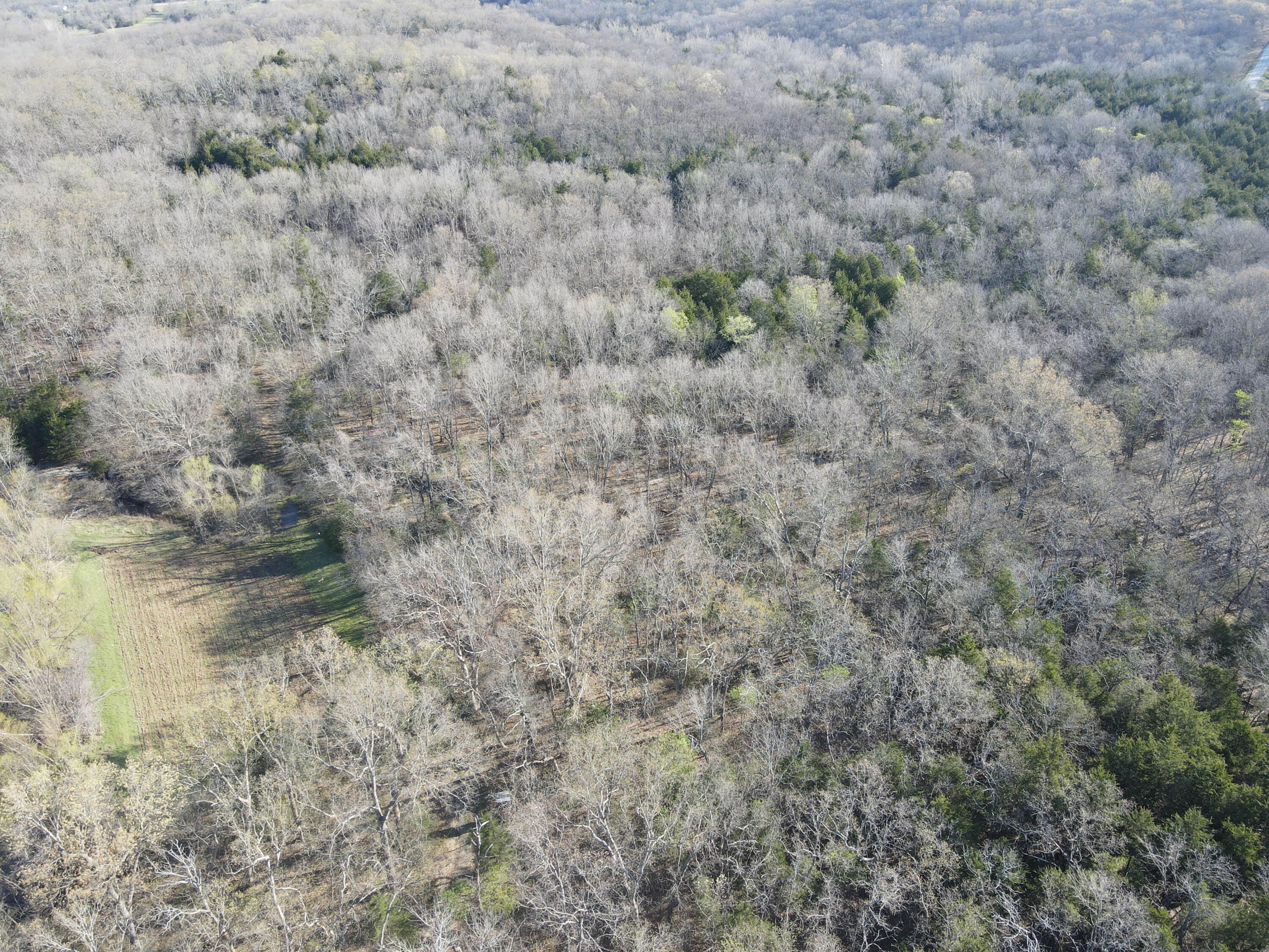 Photo 44 - Land for sale – 000 S Highway J   Stockton, MO