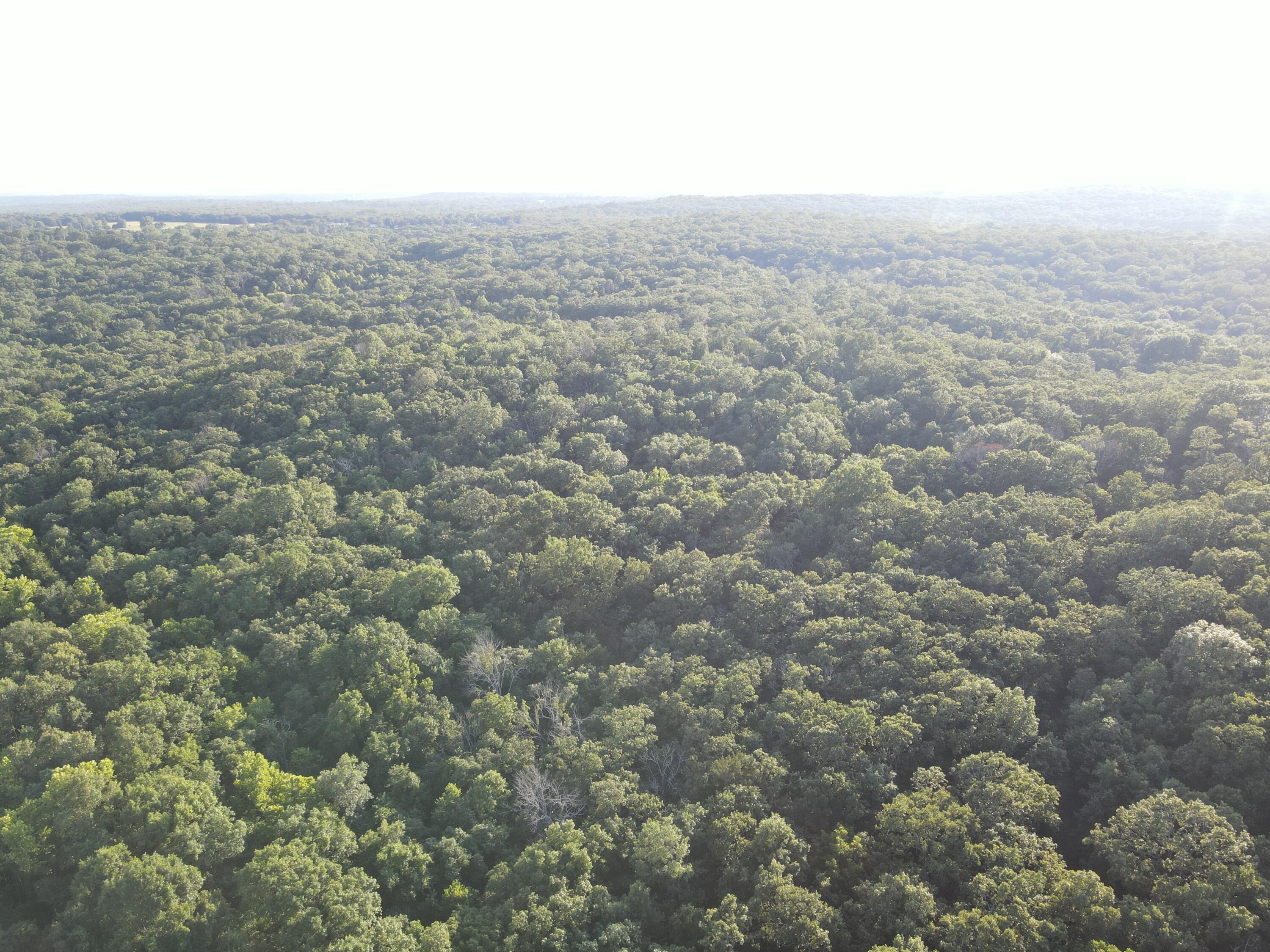 Photo 26 - Land for sale – 000 S Highway J   Stockton, MO