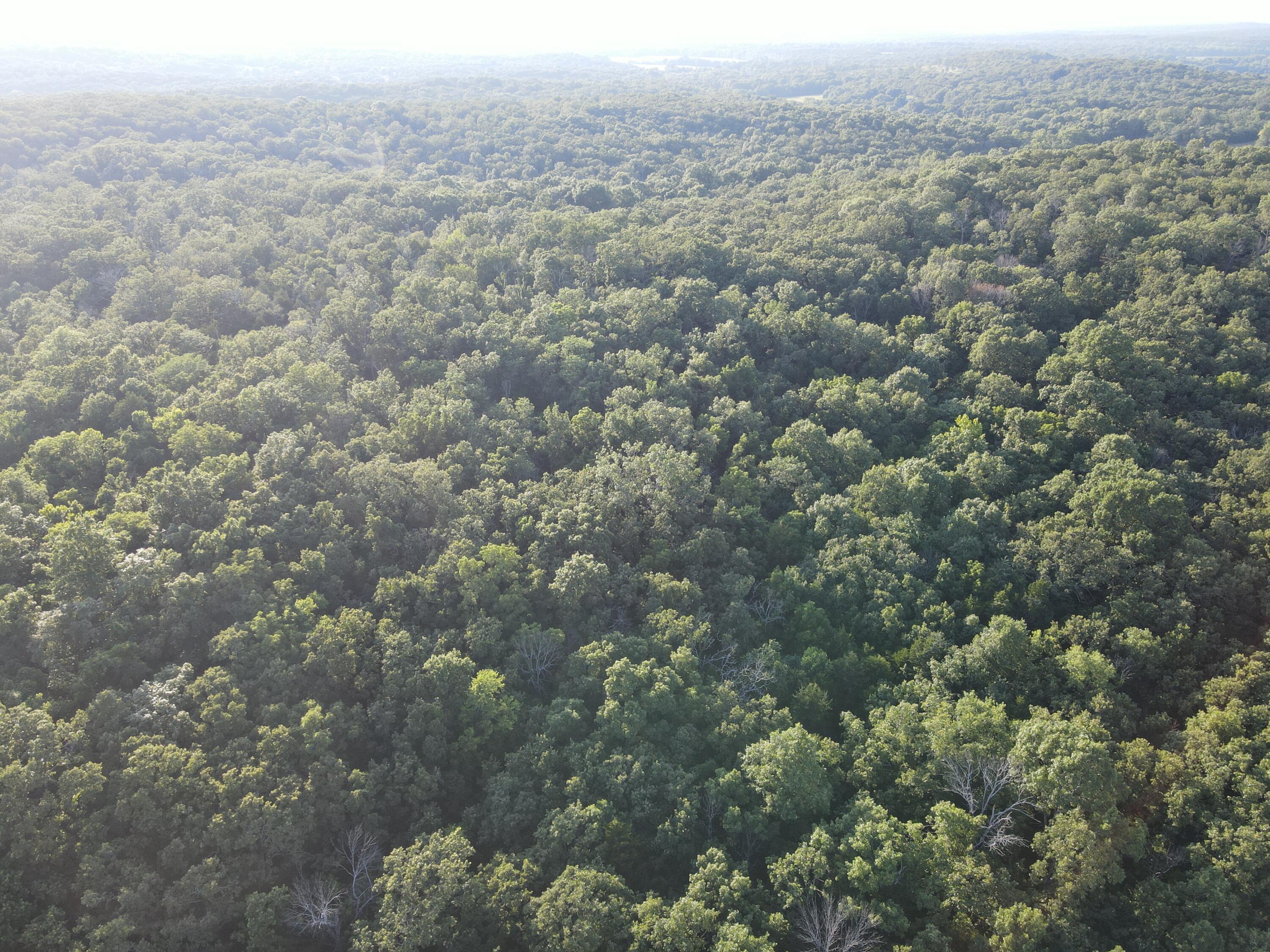 Photo 21 - Land for sale – 000 S Highway J   Stockton, MO