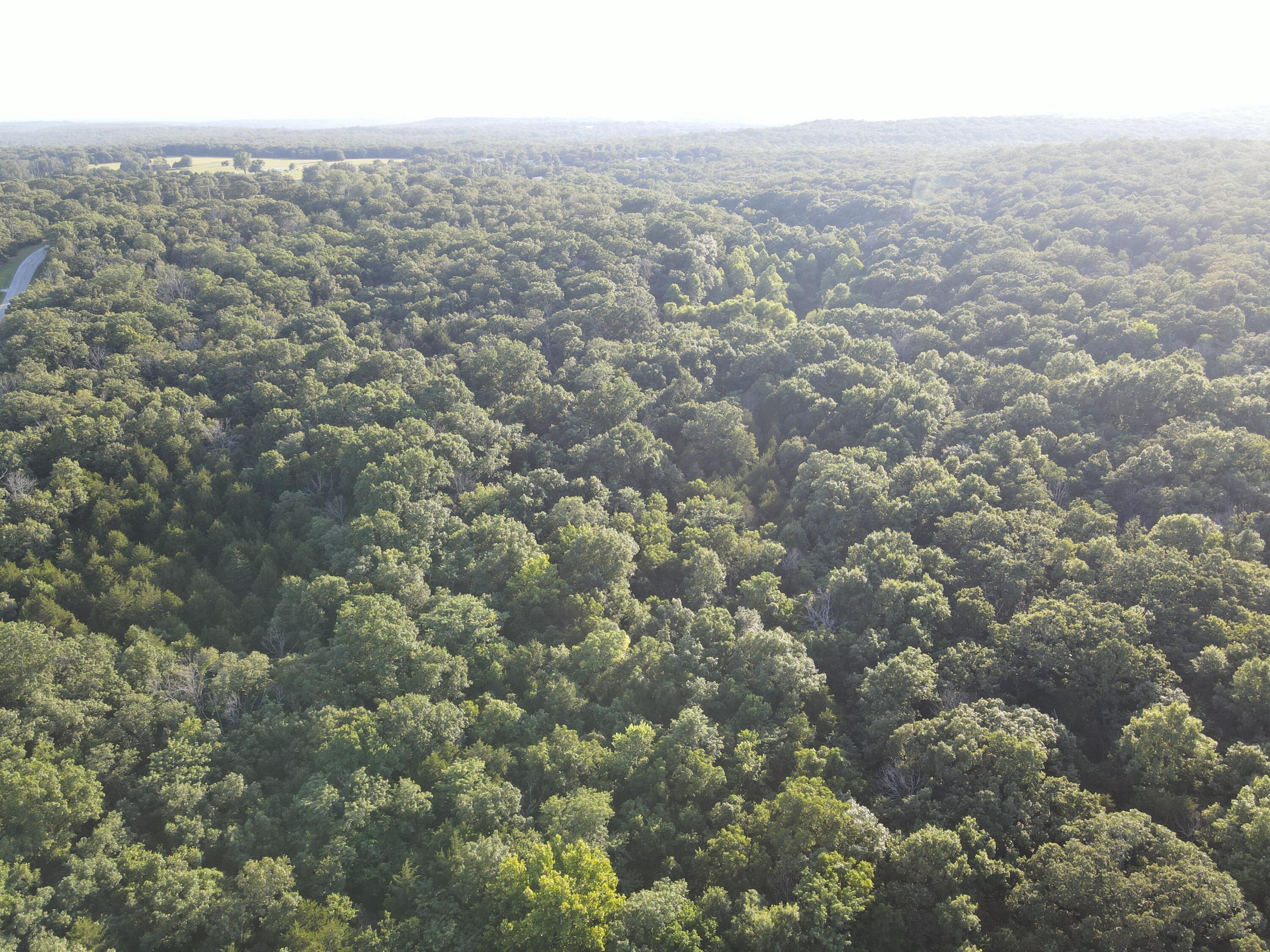 Photo 22 - Land for sale – 000 S Highway J   Stockton, MO