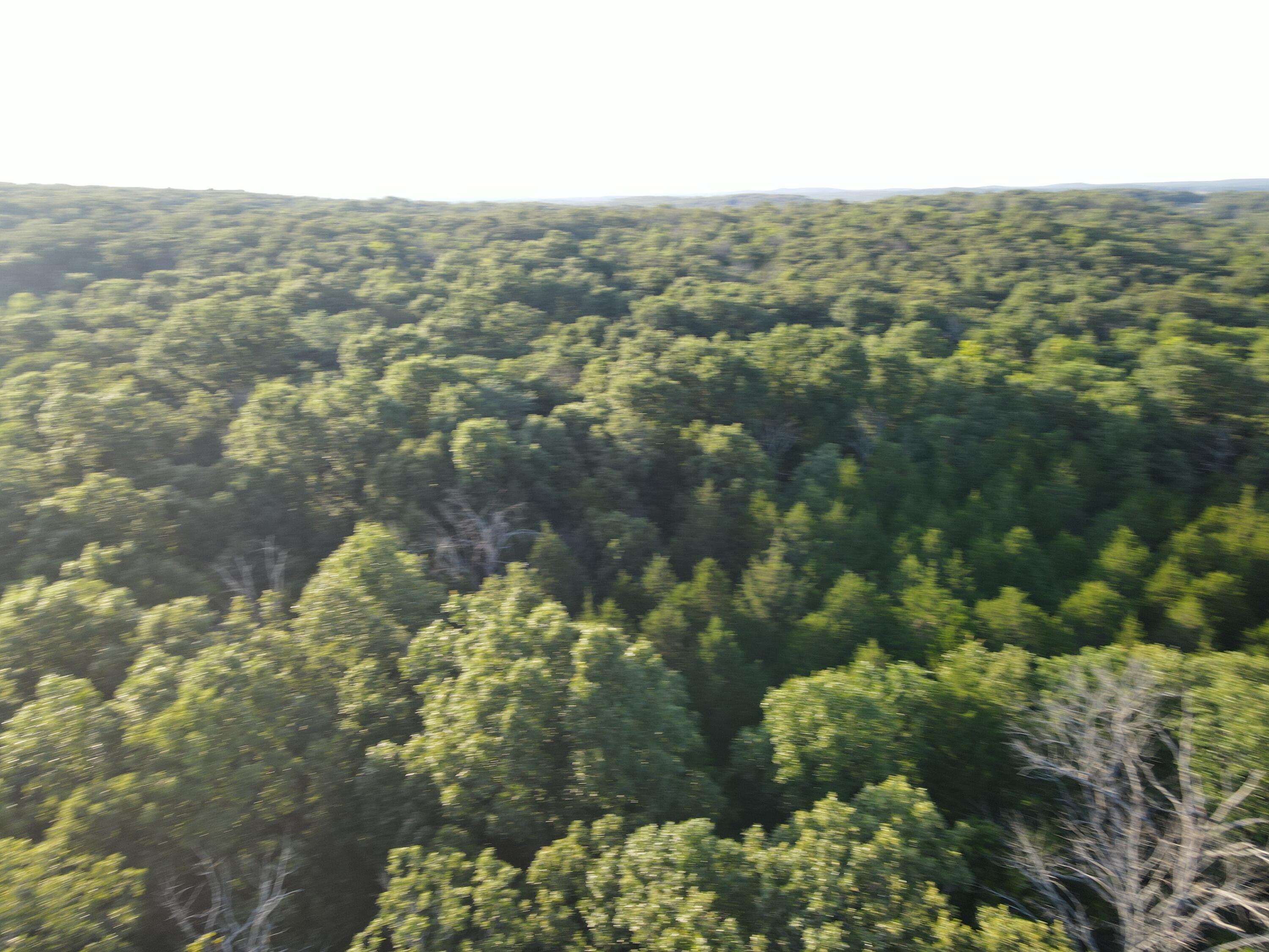 Photo 24 - Land for sale – 000 S Highway J   Stockton, MO